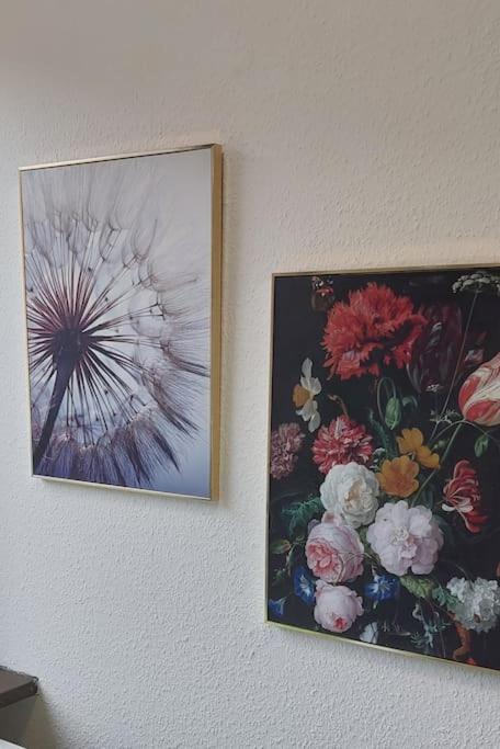 Günstige, schöne Ferienwohnung im Wanderparadies