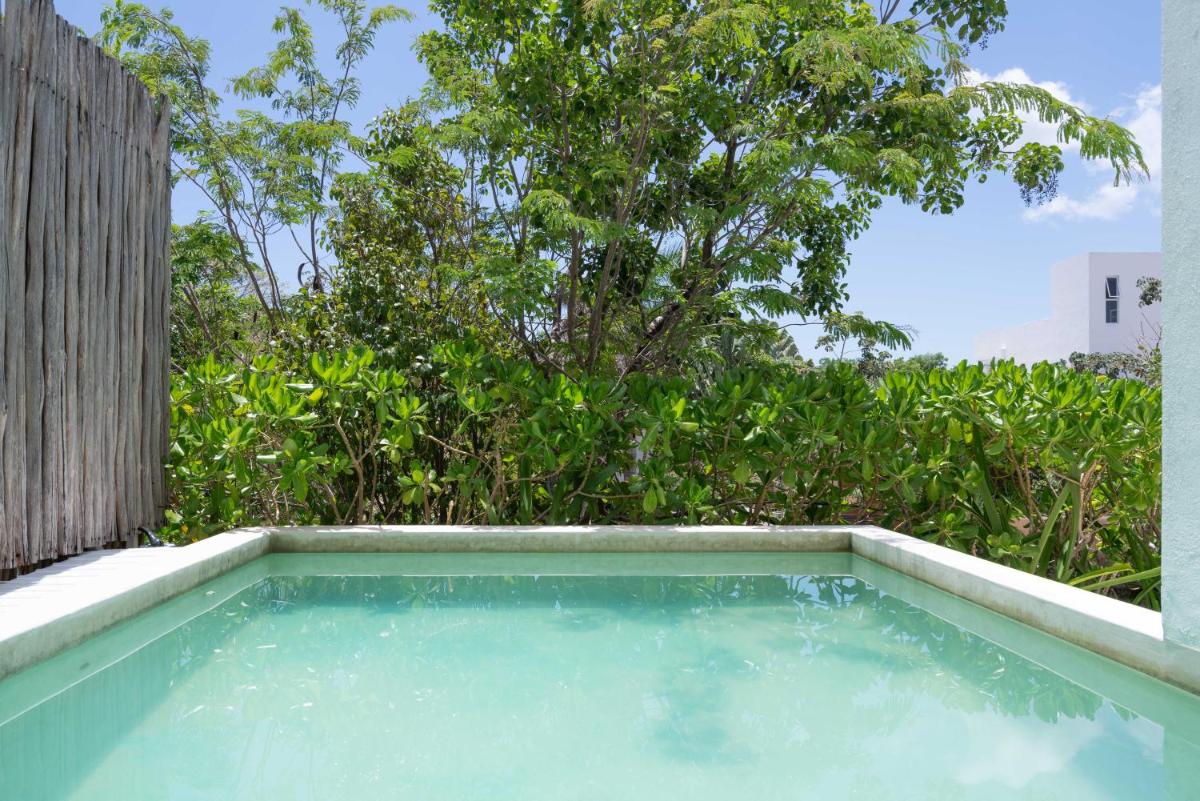 Saasil Tulum Cozy Apartment