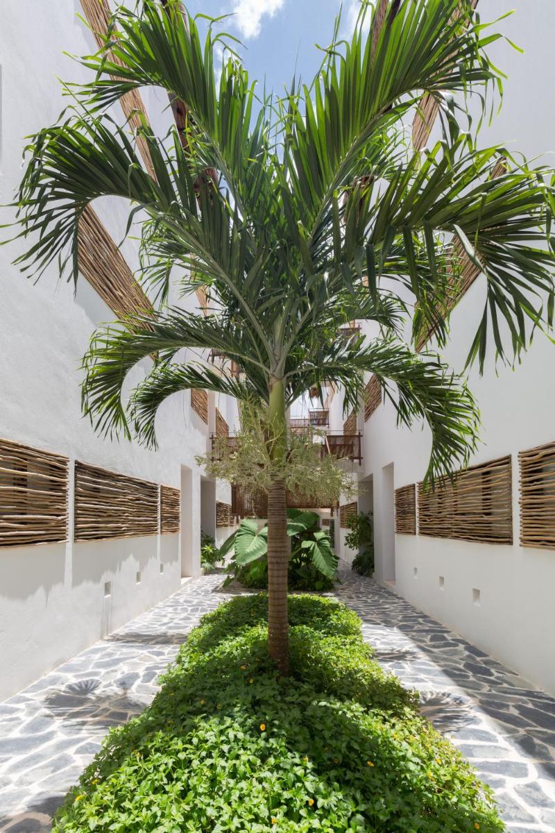 Saasil Tulum Cozy Apartment