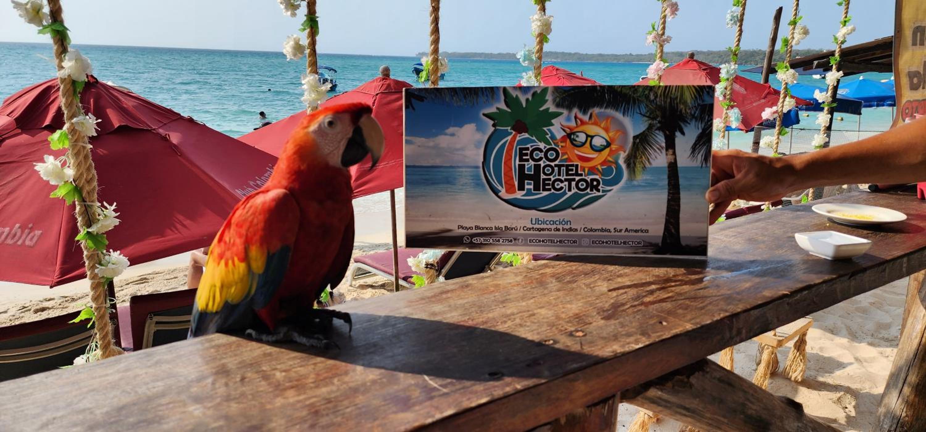 Ecohotelhector