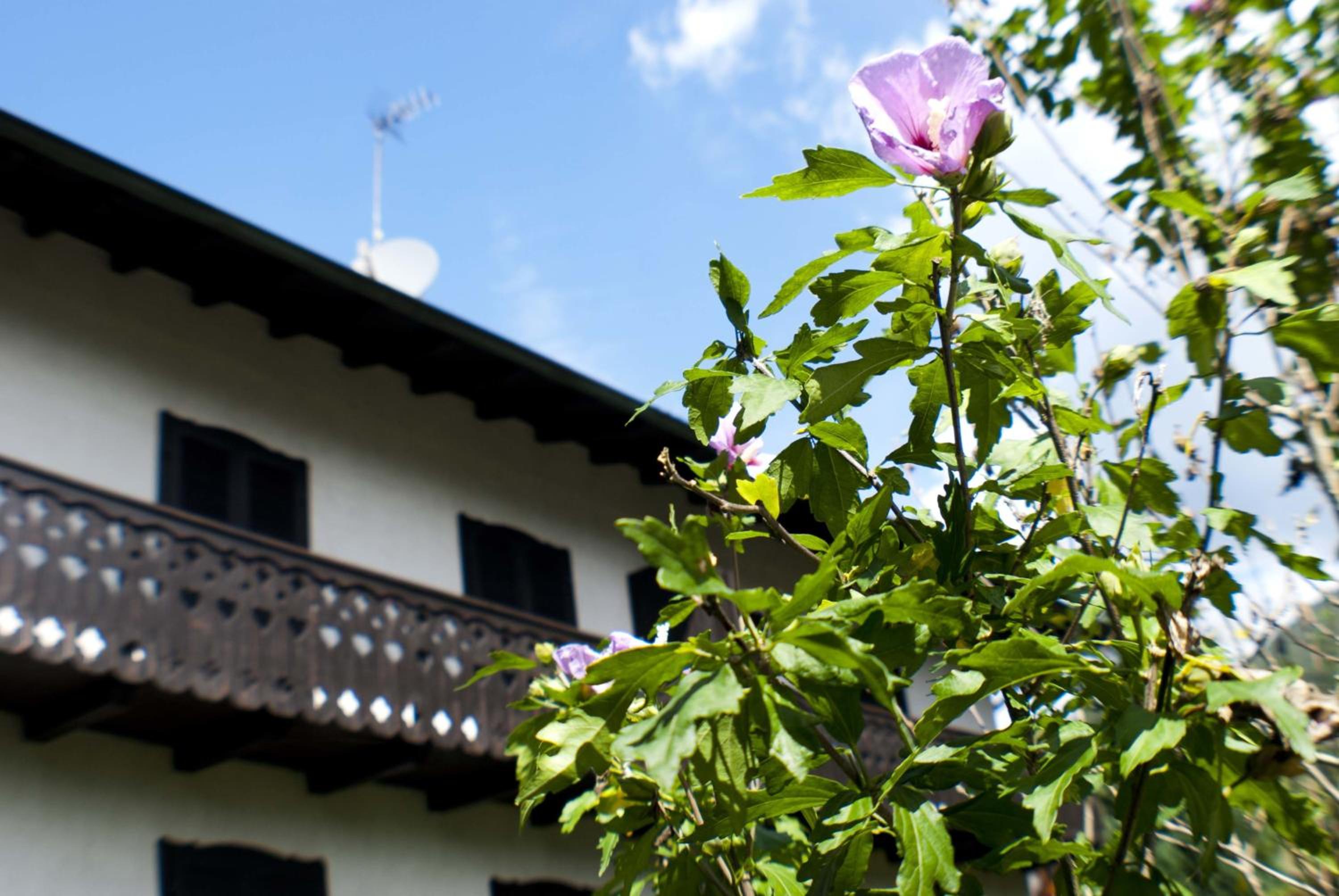 Casa Elisabetta view 5