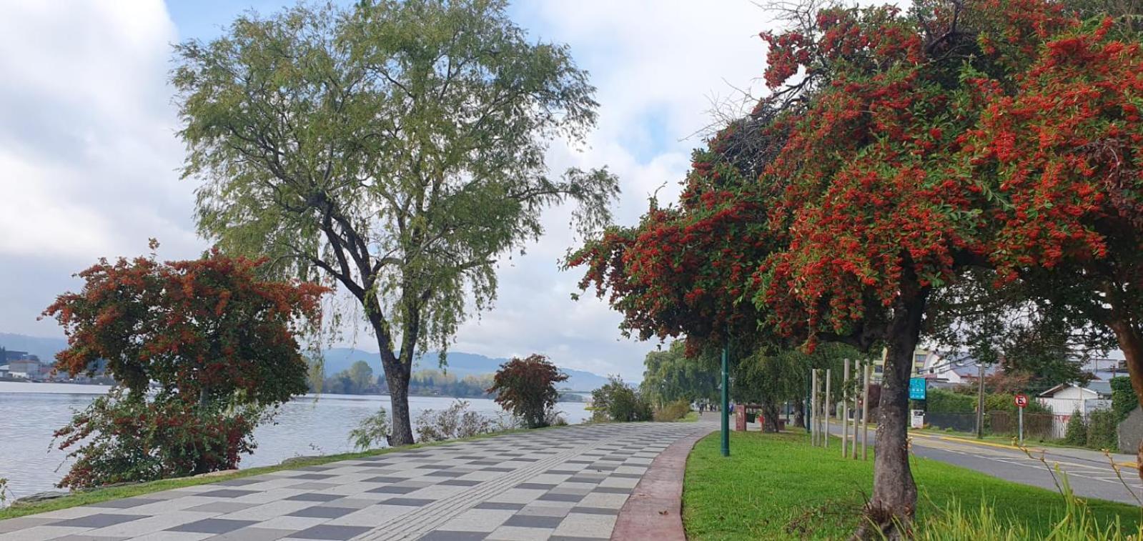 Bello departamento en costanera de Valdivia