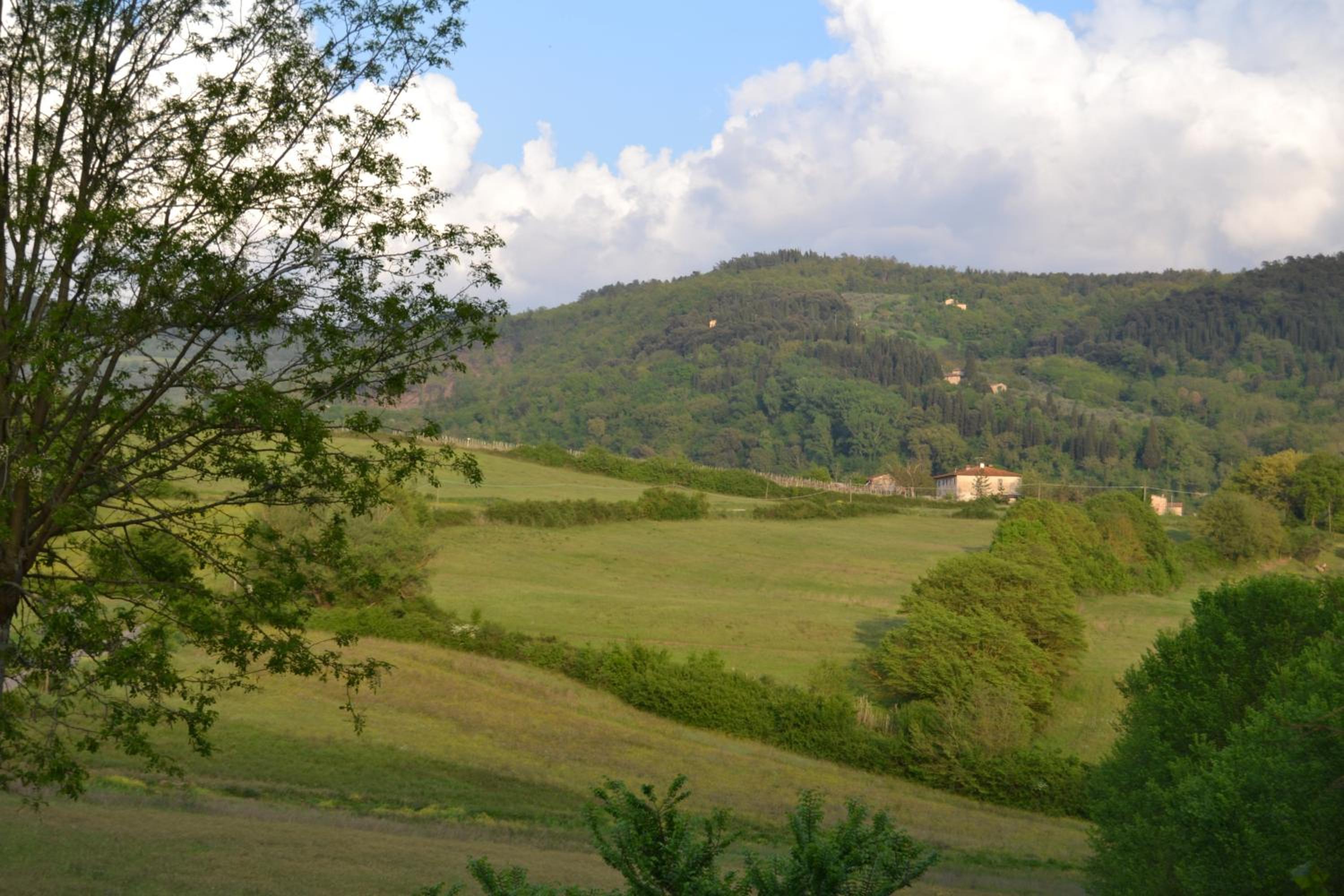 Photo 48