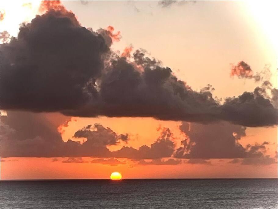Bluvue Del Mar!