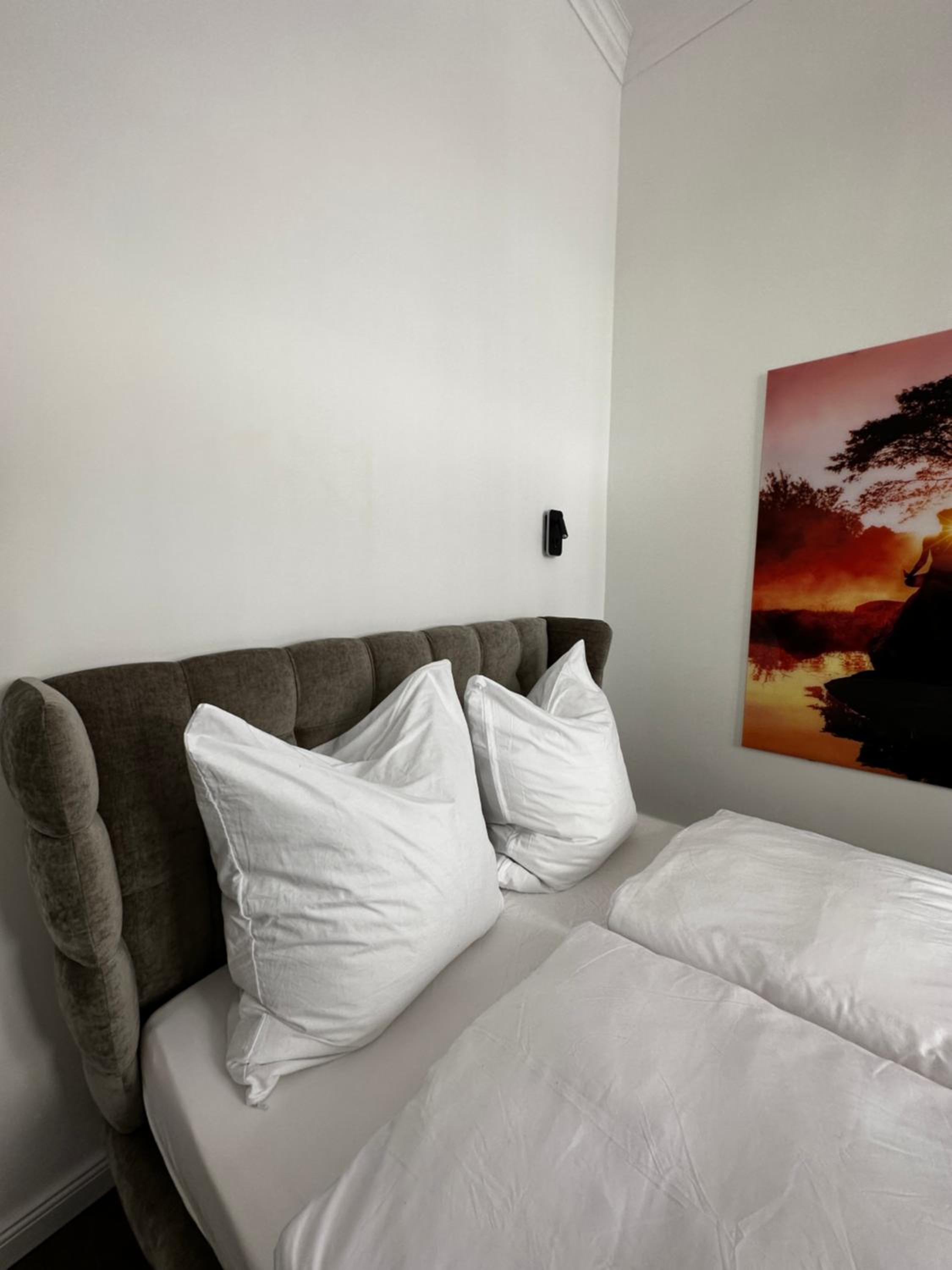Luxury City Apartment Downtown Vienna