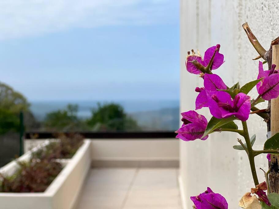 Apartamento Puerta de Comillas - Monabri