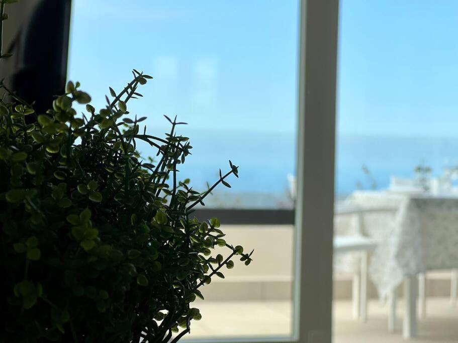 Apartamento Puerta de Comillas - Monabri