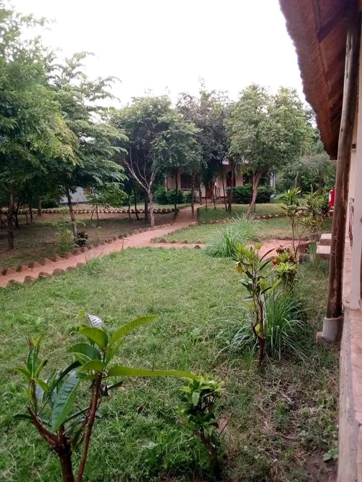 Photo 23