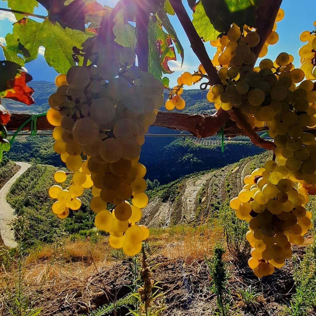 Pupa Winery Serene Stay
