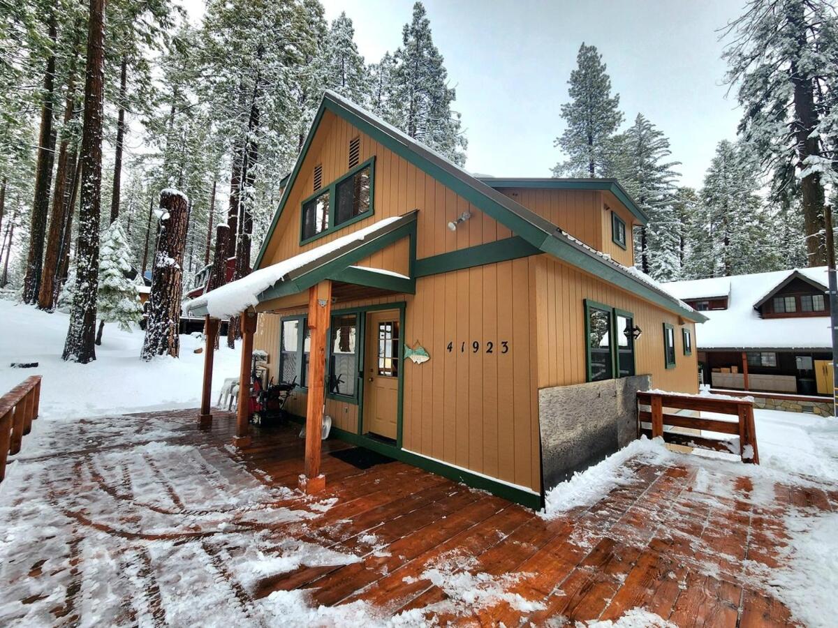 Toste Cabin- Spacious 3BR Cabin in East Village! view 2