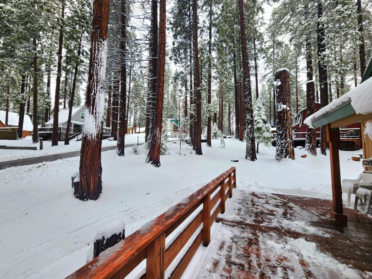 Toste Cabin- Spacious 3BR Cabin in East Village! view 5