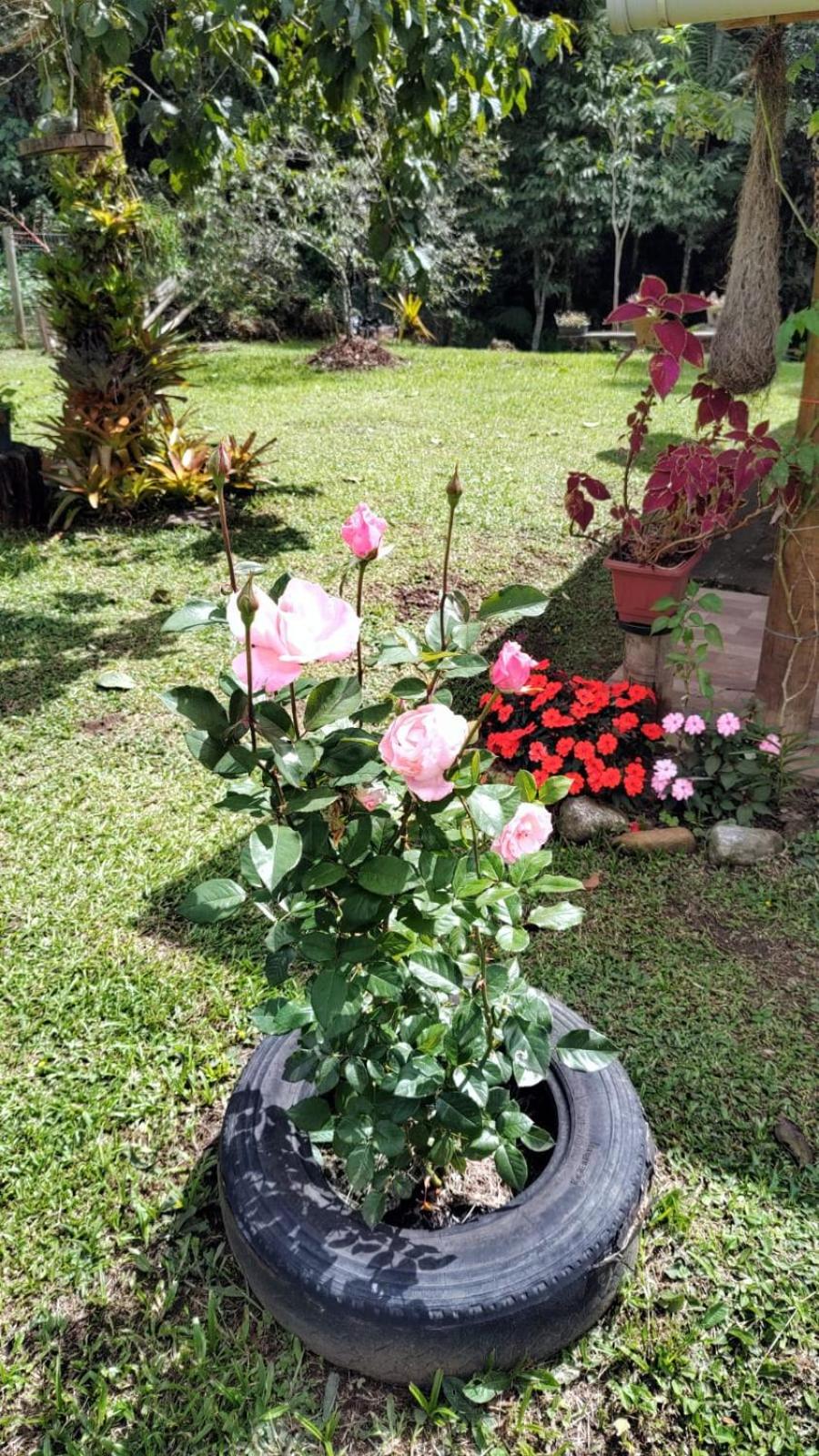 Chalé Vale das Flores - Visconde de Mauá Rj
