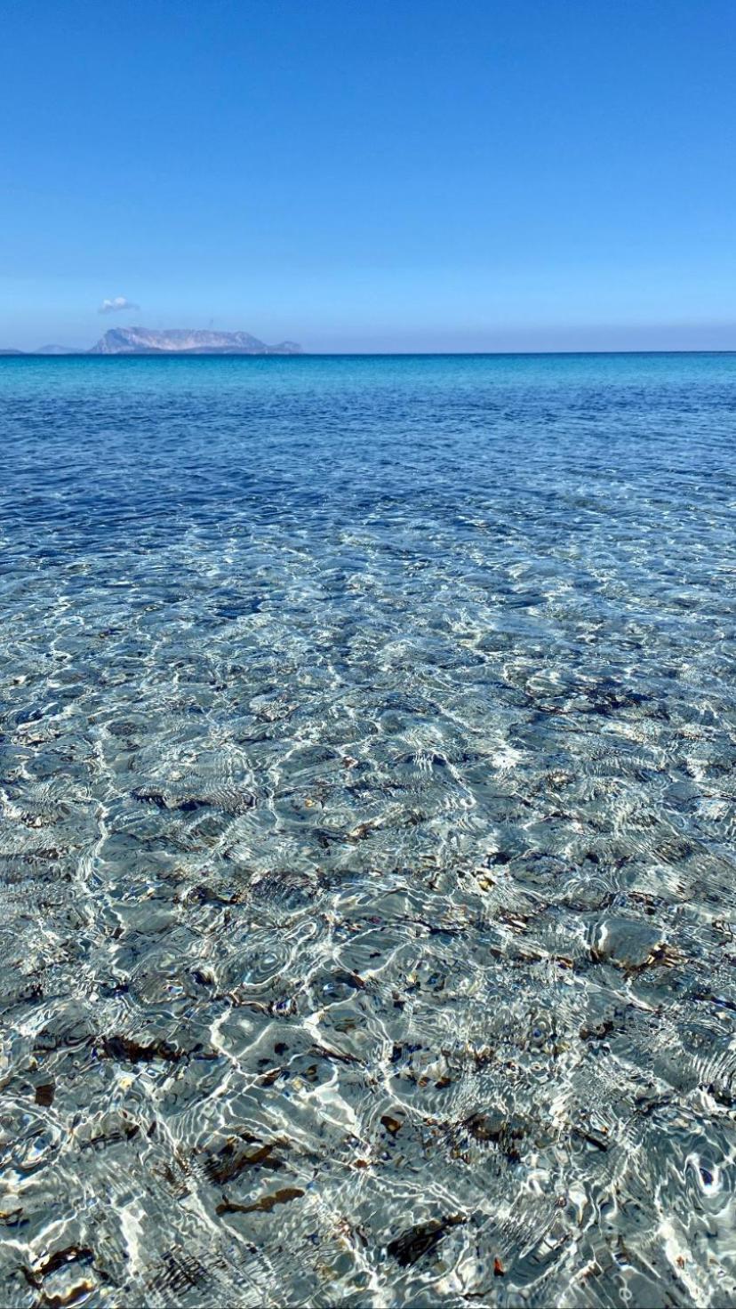 La PAVONCELLA sul MARE view 4