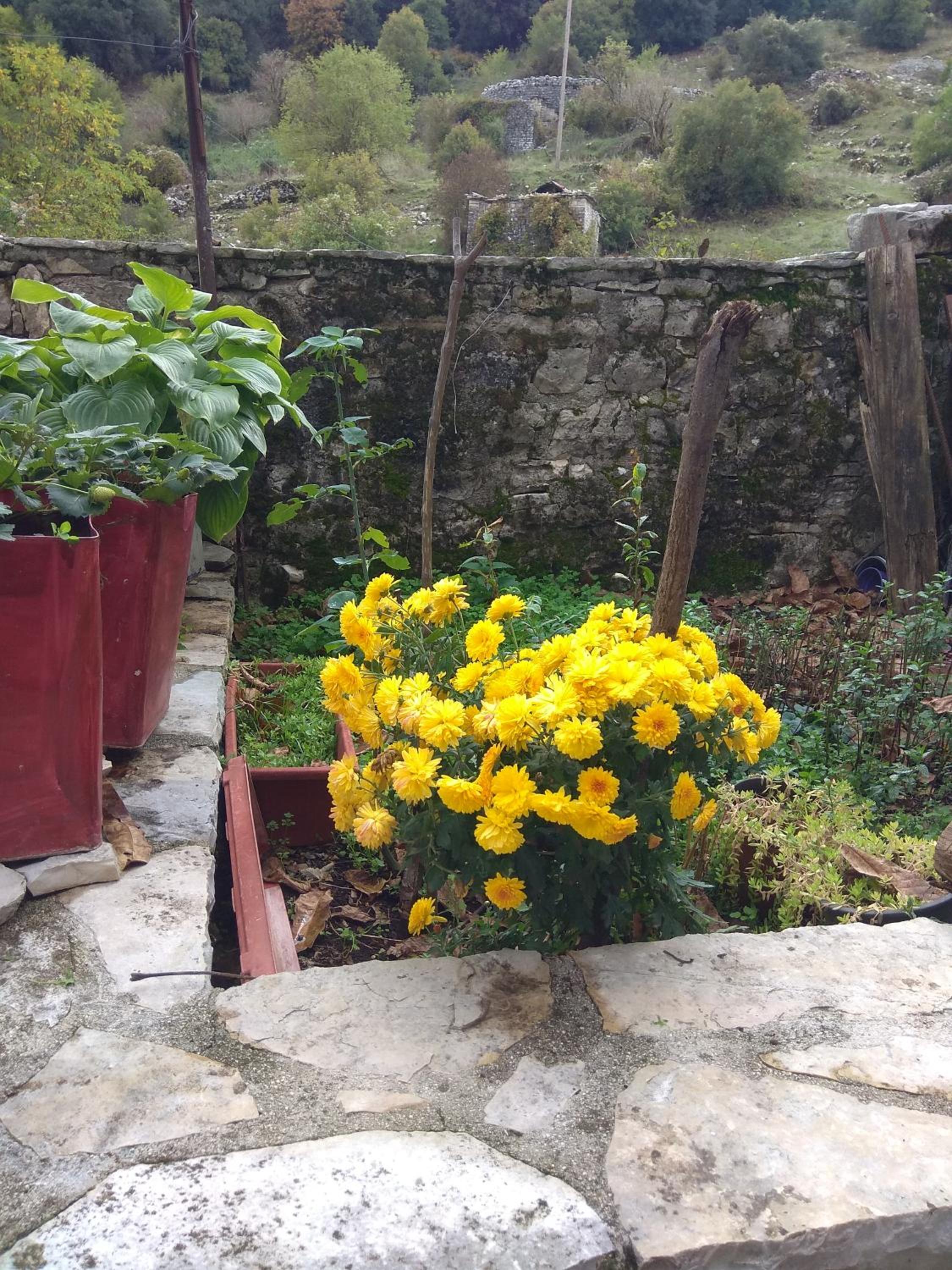 Estia Tsialiki photo 3