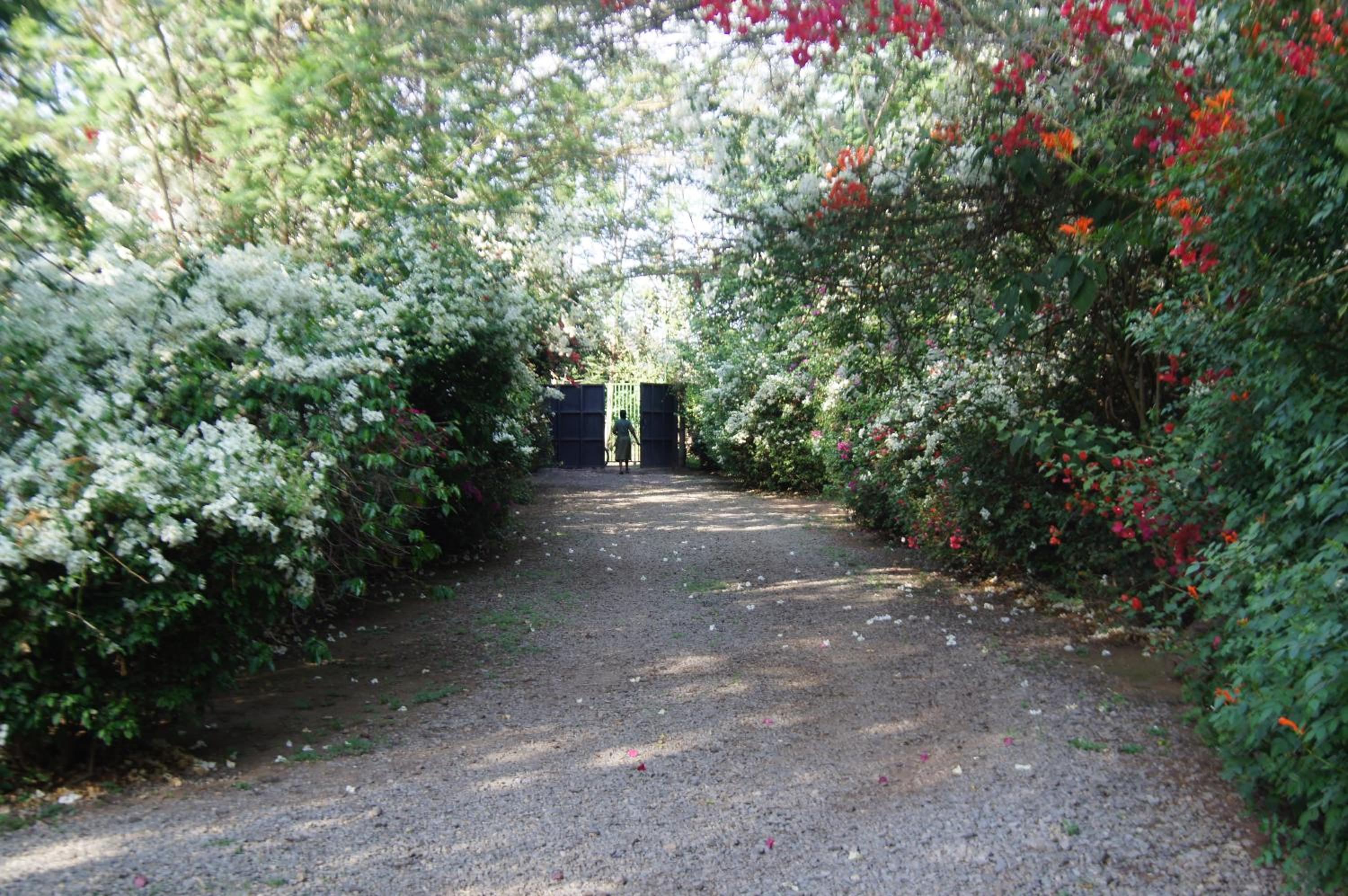 Meru House Lekisilai