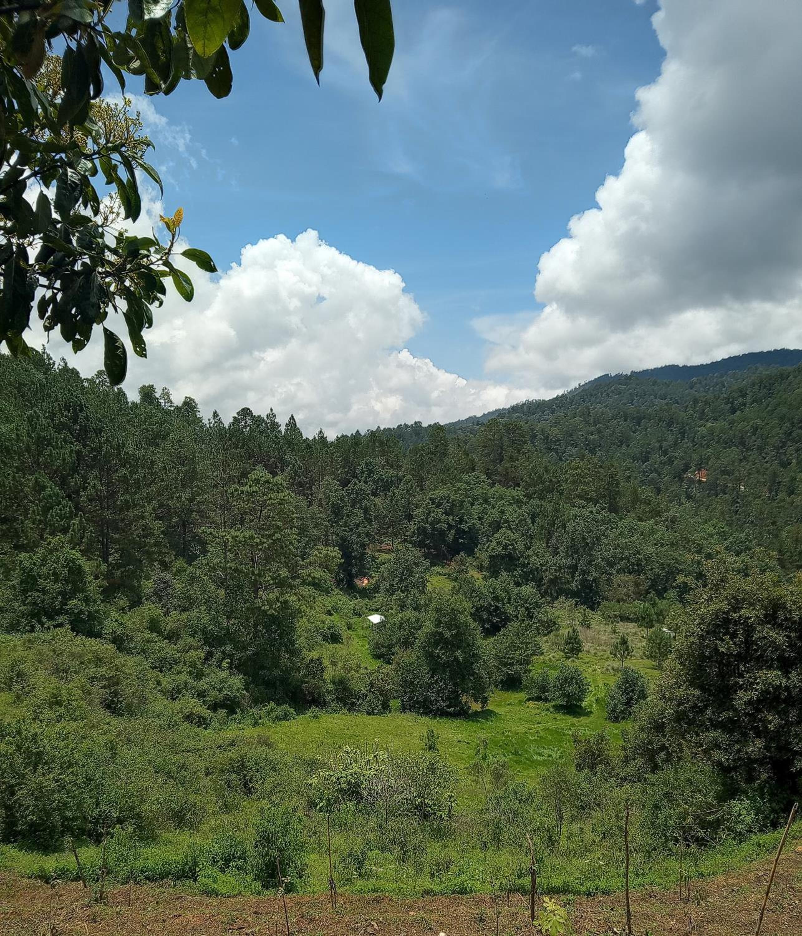 Digital detox view 5
