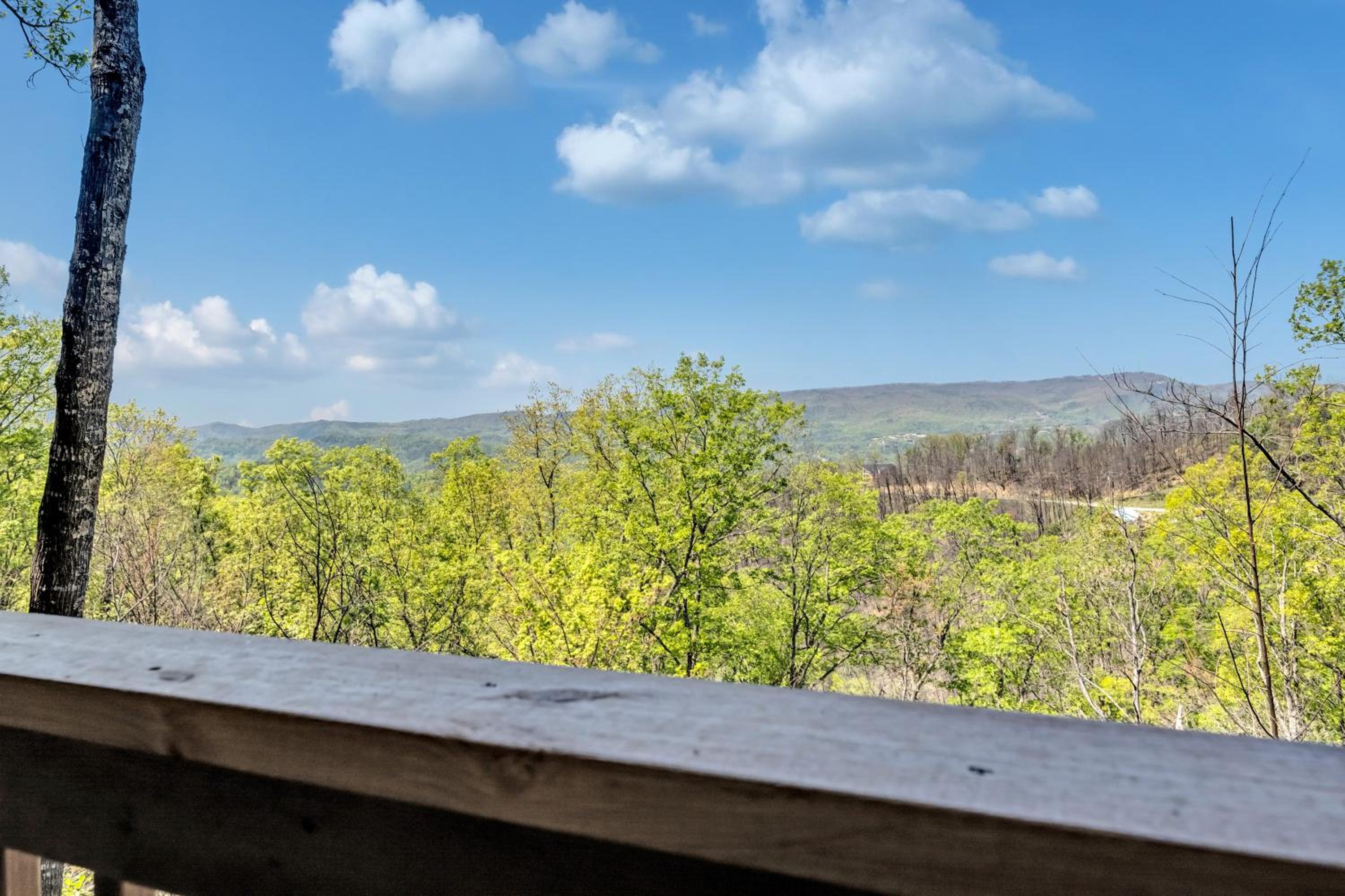 Smoky Mountain Views - Property Image 28