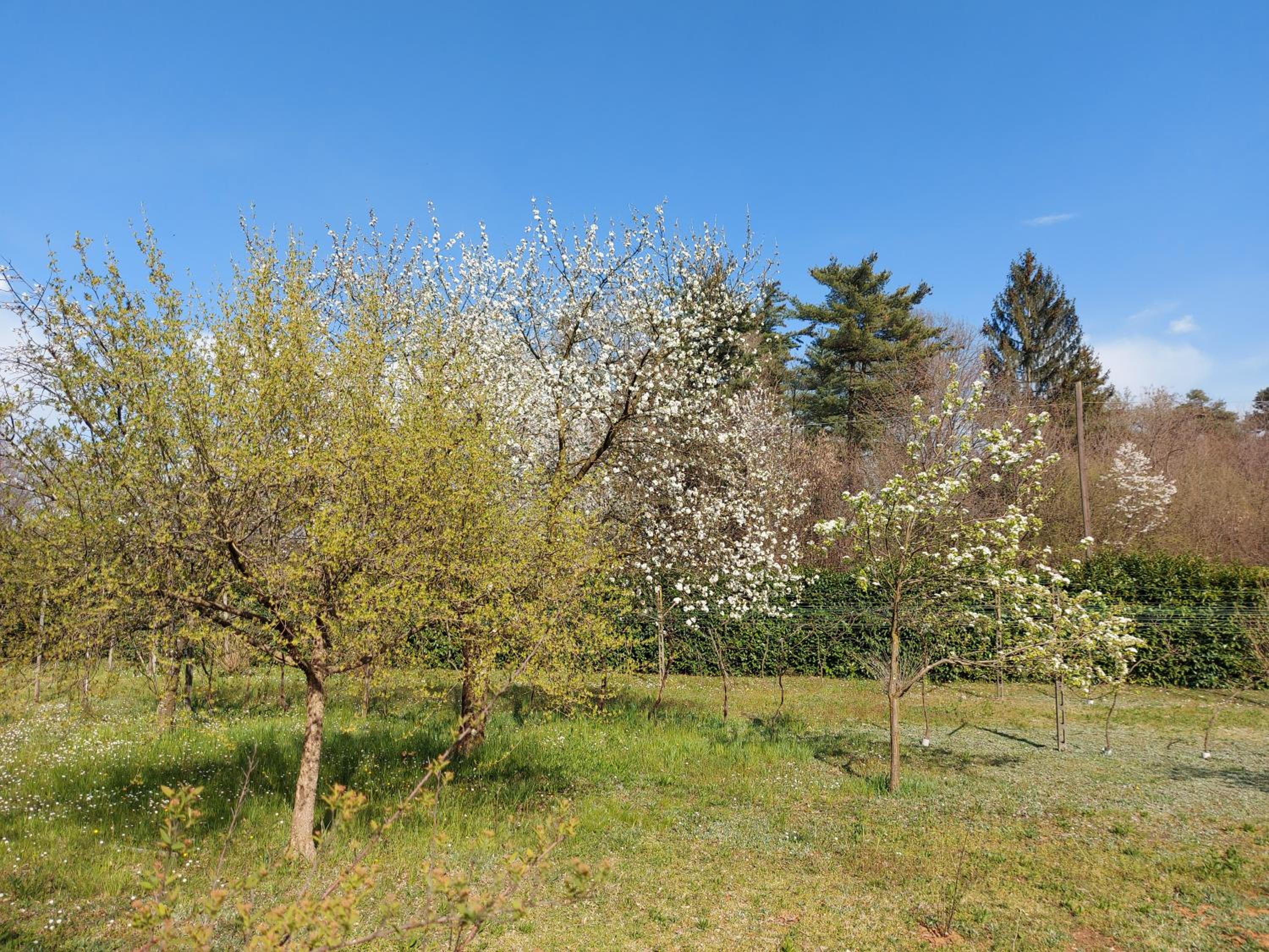 Photo 46