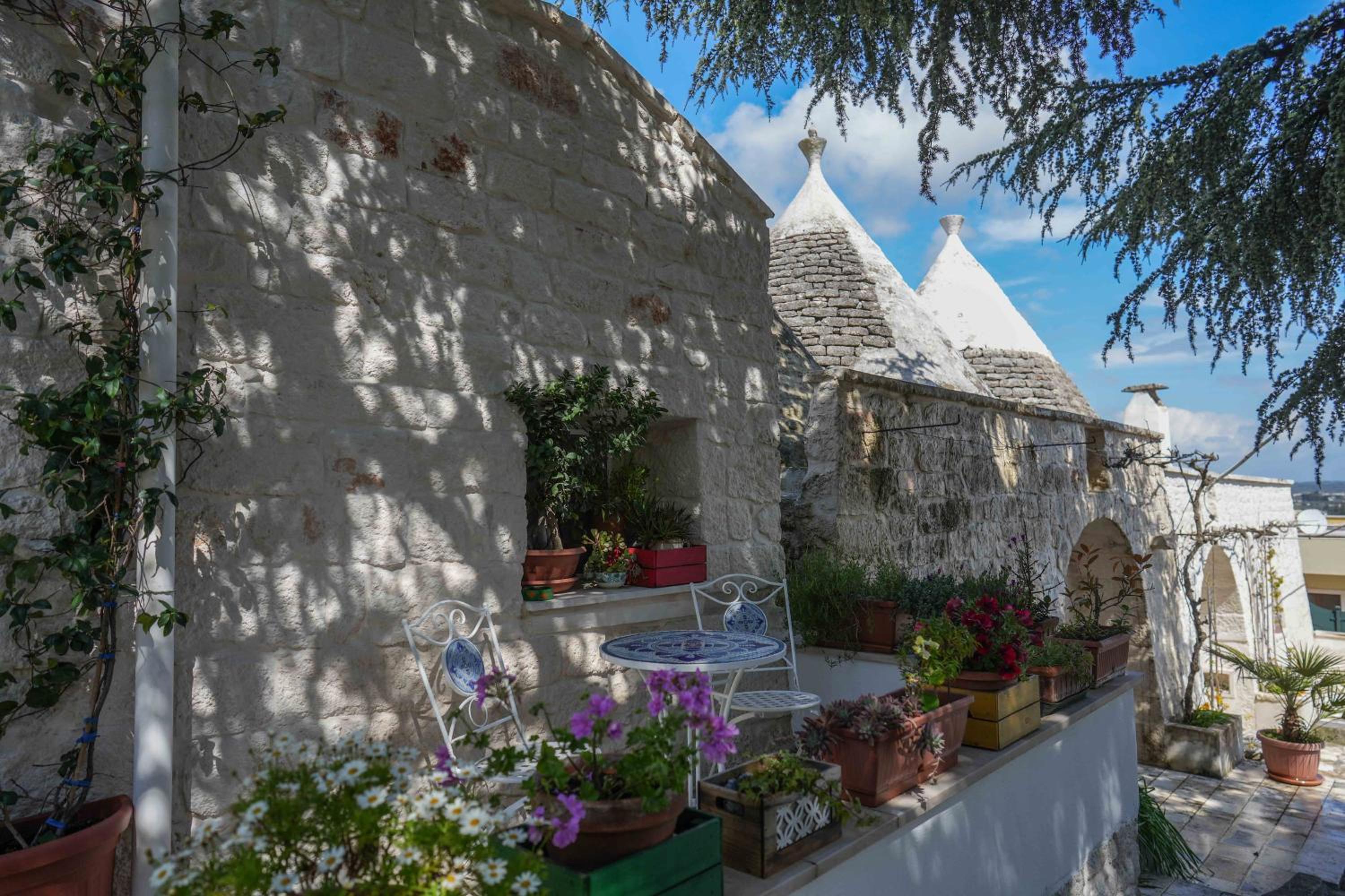 Trulli di Puglia - Casa vacanze in Valle d'Itria view 2