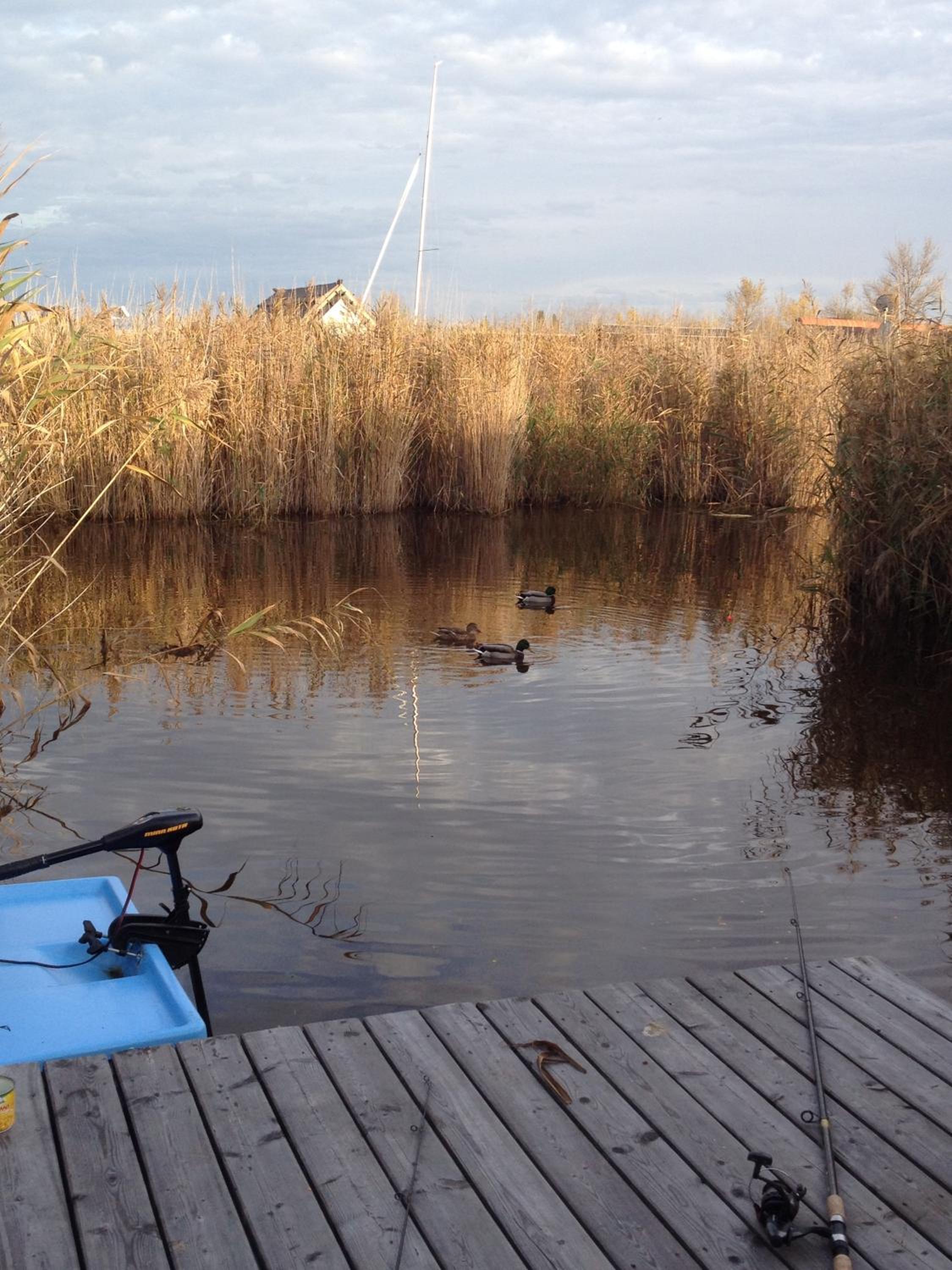 Seehütte Neusiedlersee - Pfahlbau GlamPing
