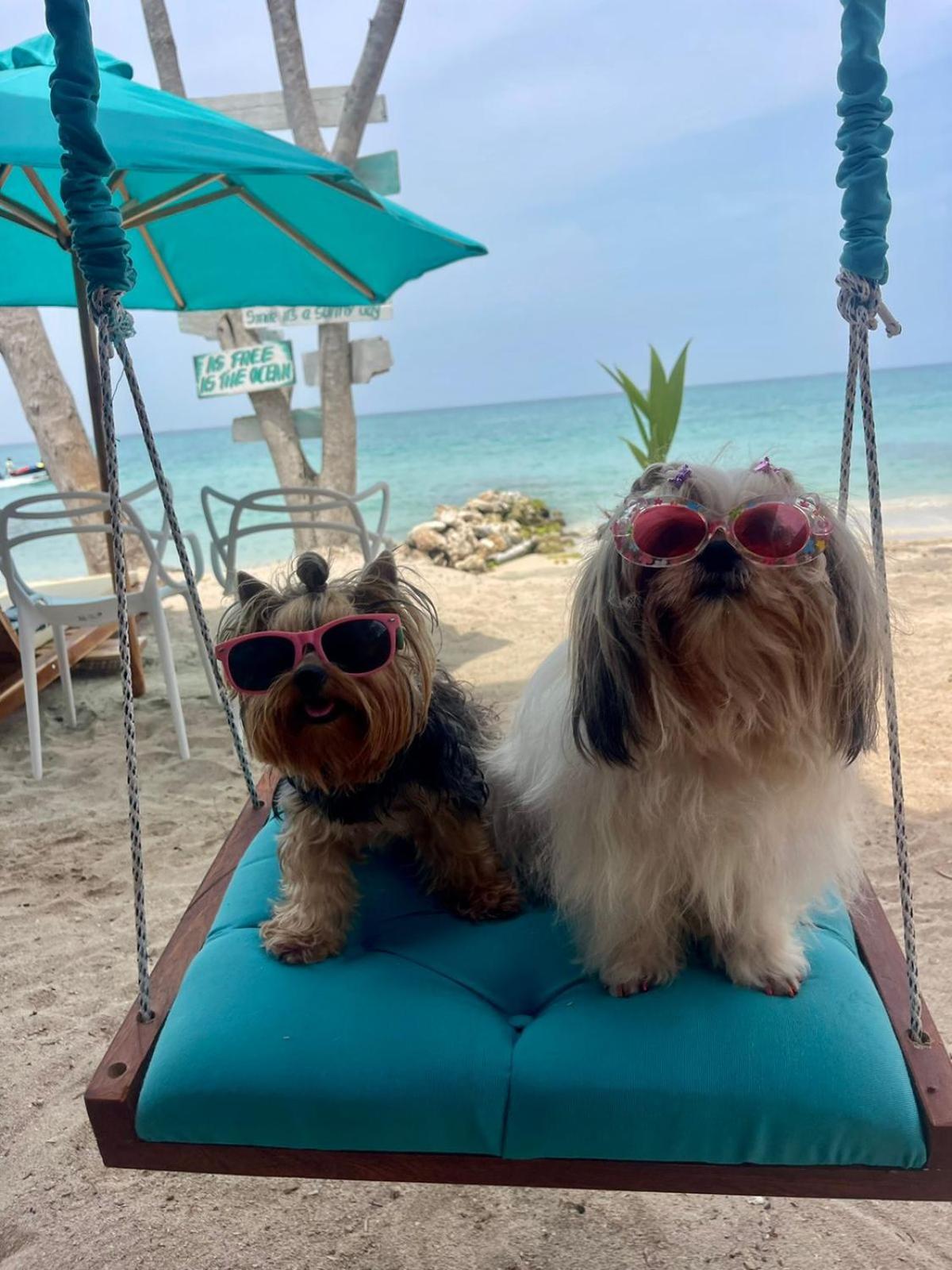 Freedom Beach Club