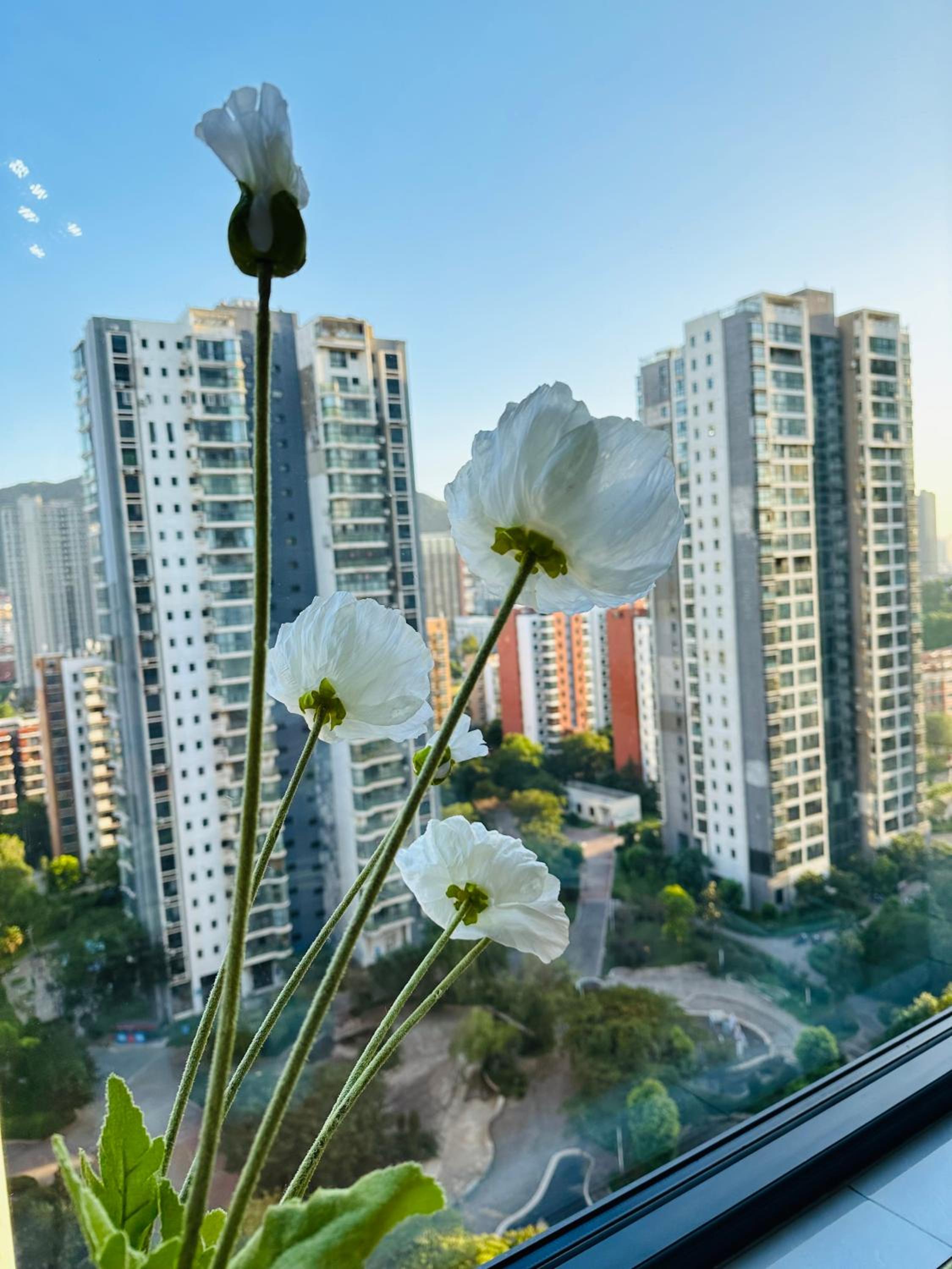 Qixi Boutique Apartment