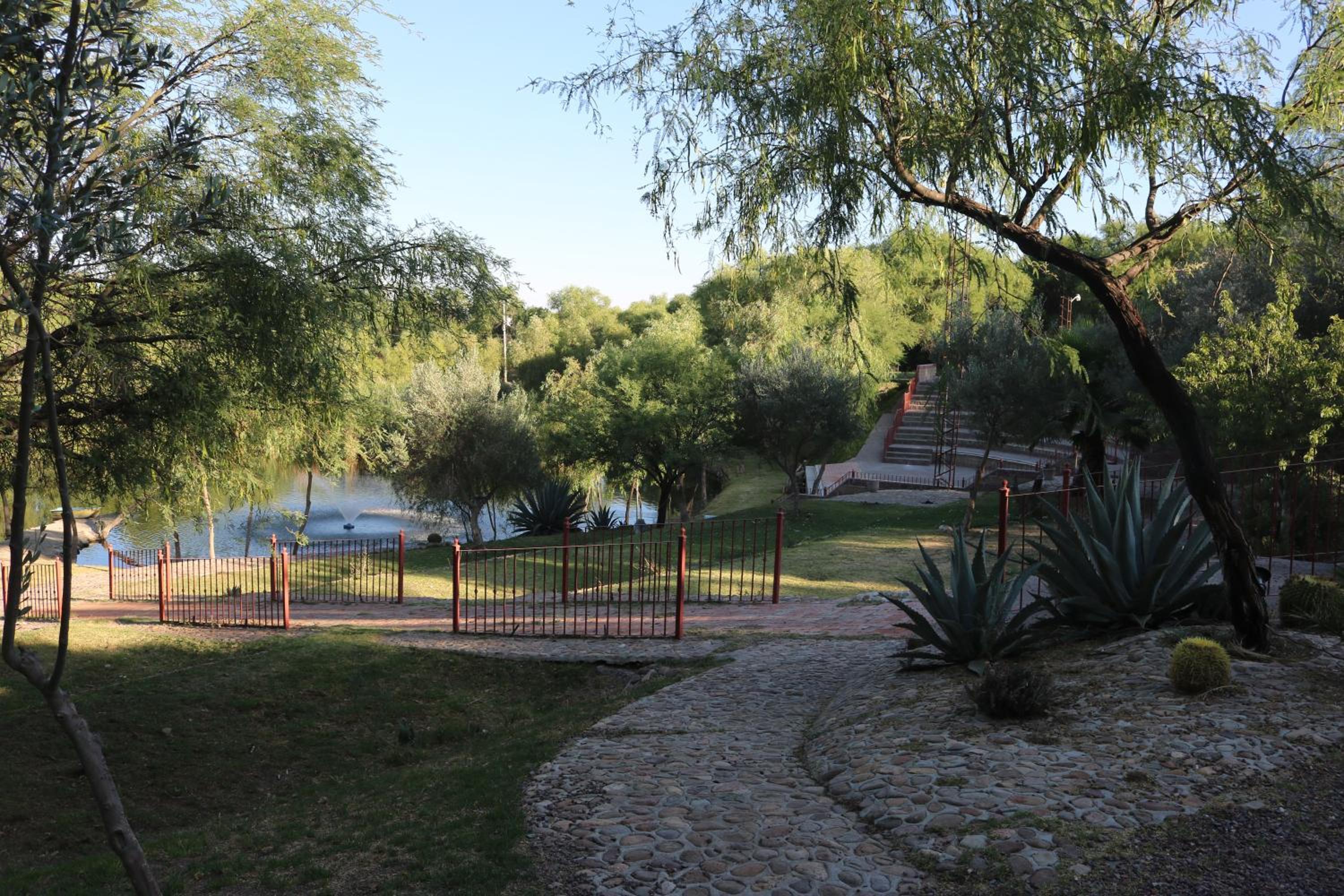 Photo 8