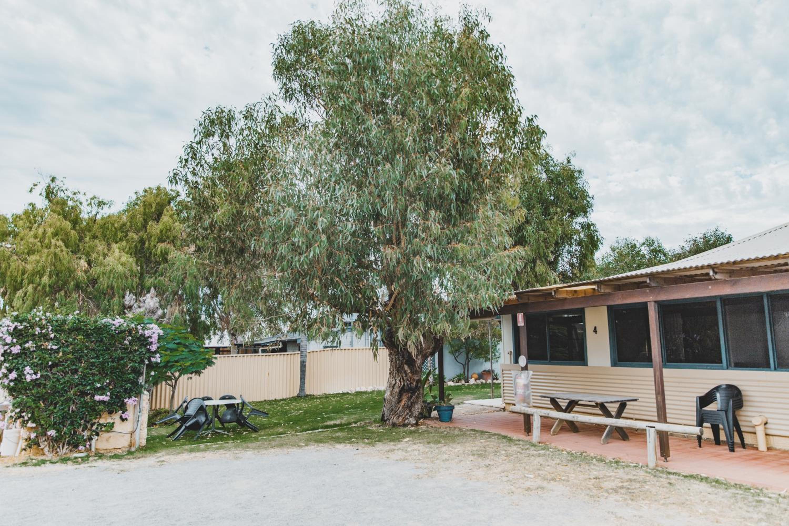 Dongara Hotel Motel