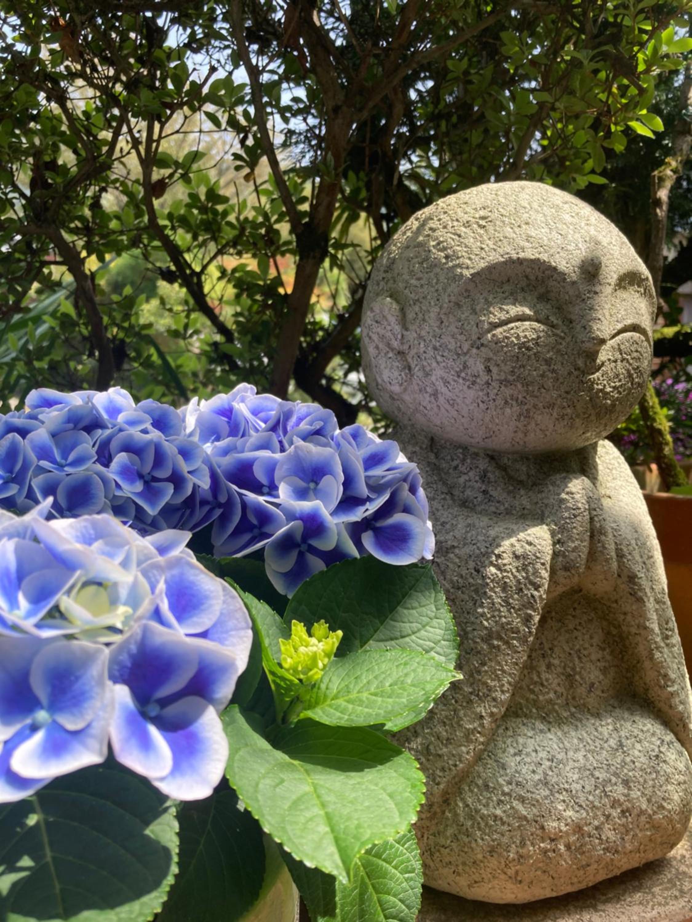 Ryoso Chatani