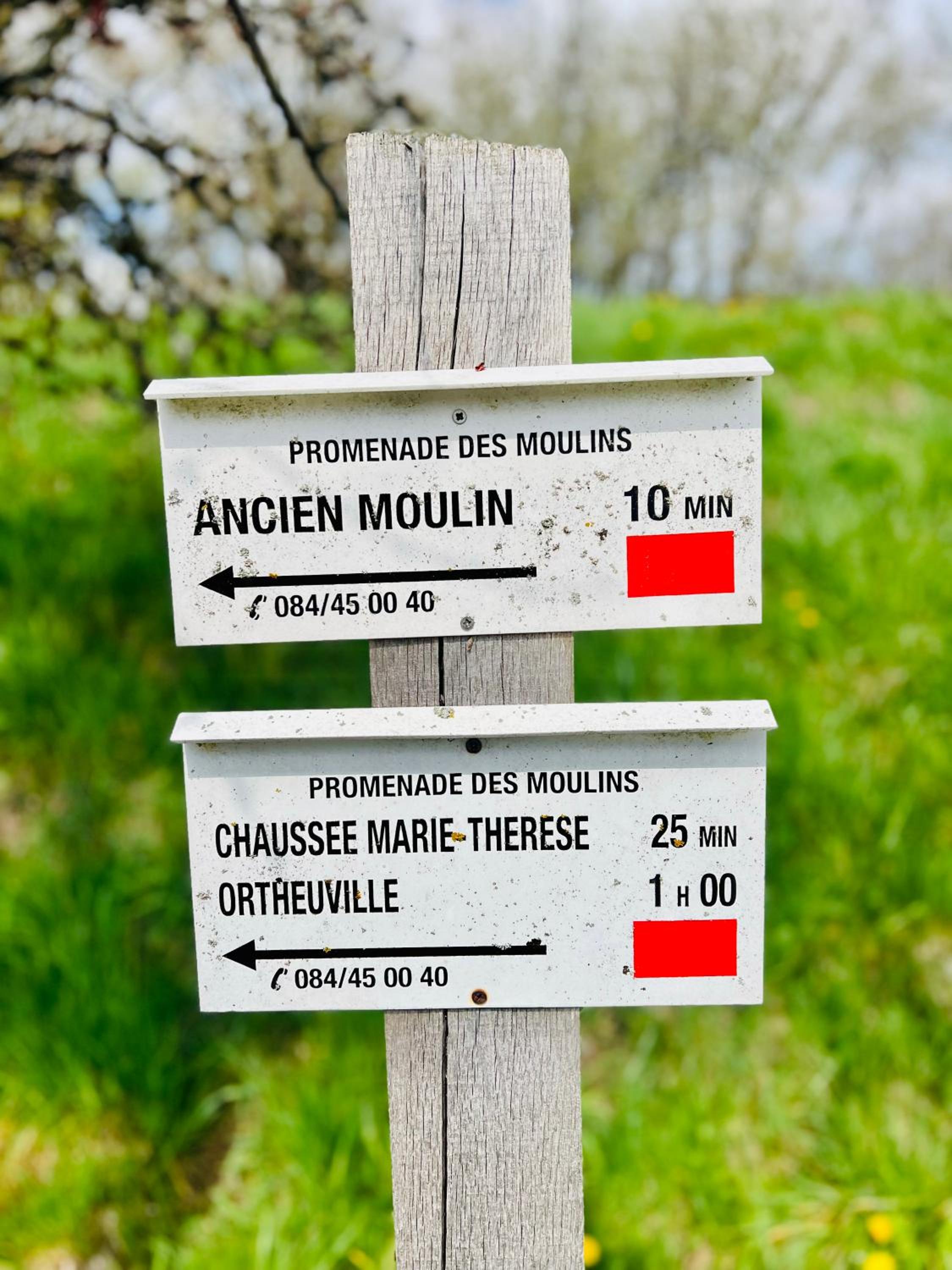 La Balade enchantée- gîte 6 personnes - Ardenne Belge