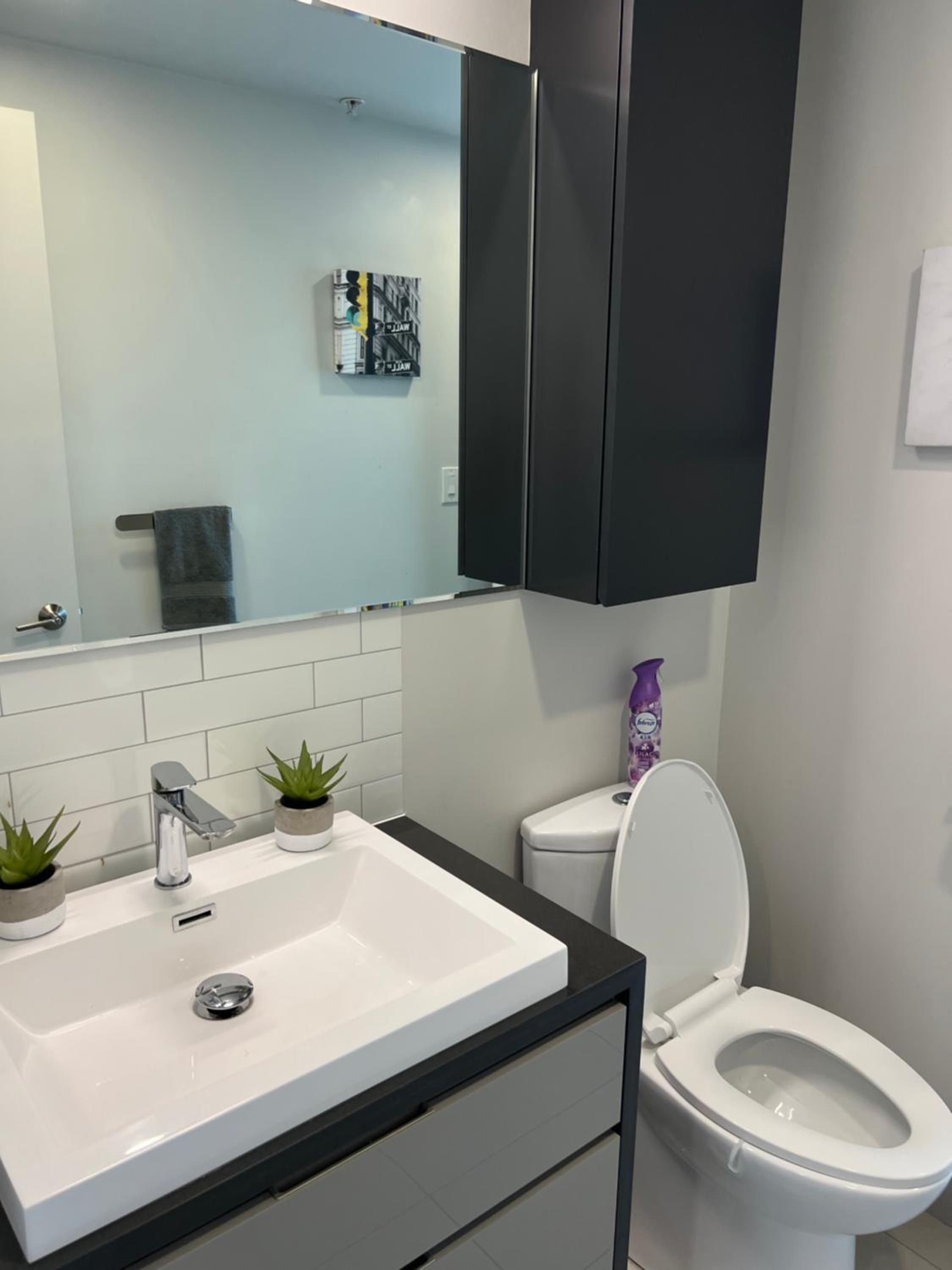 Beautiful one bedroom downtown Condo with pool and free parking