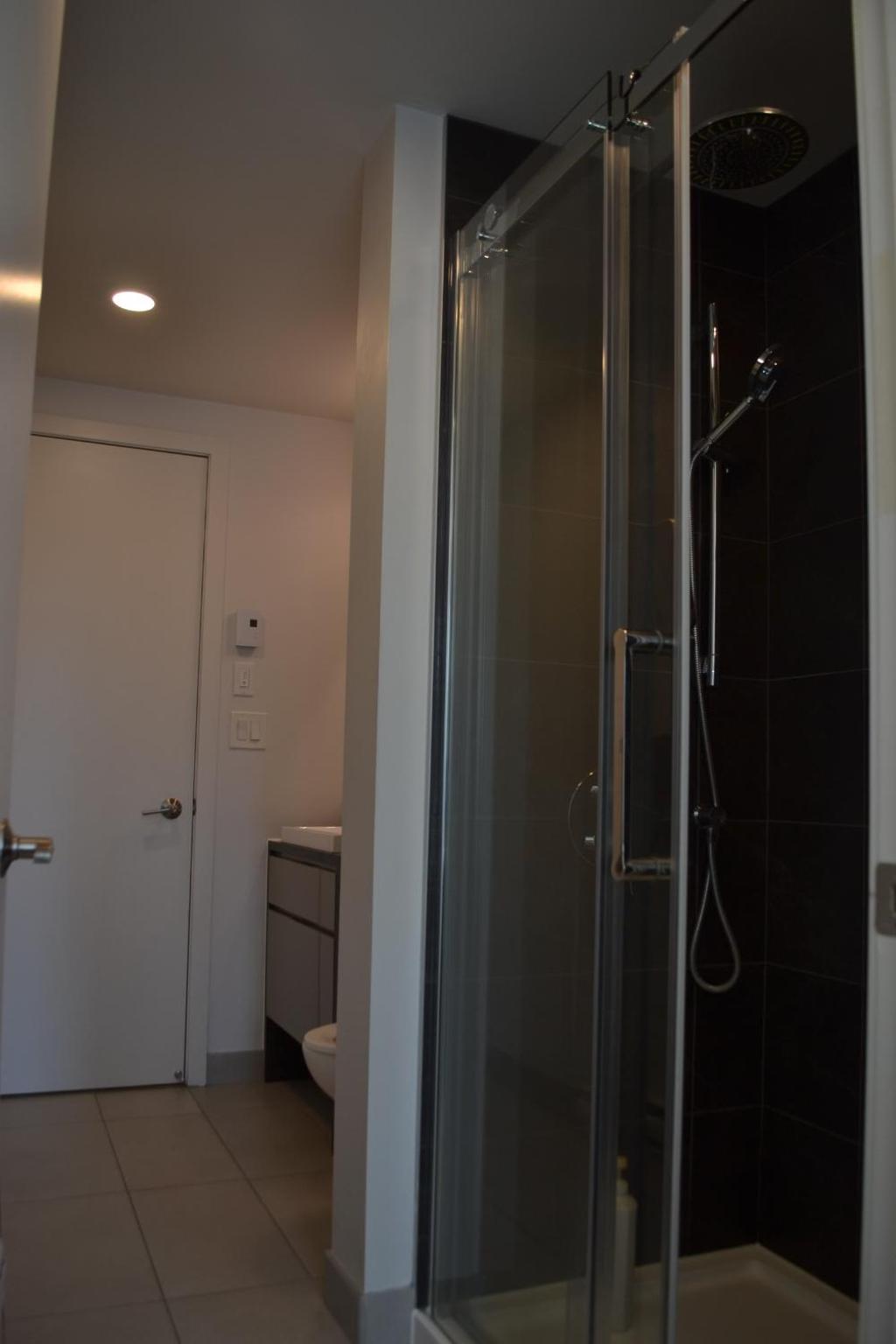Beautiful one bedroom downtown Condo with pool and free parking