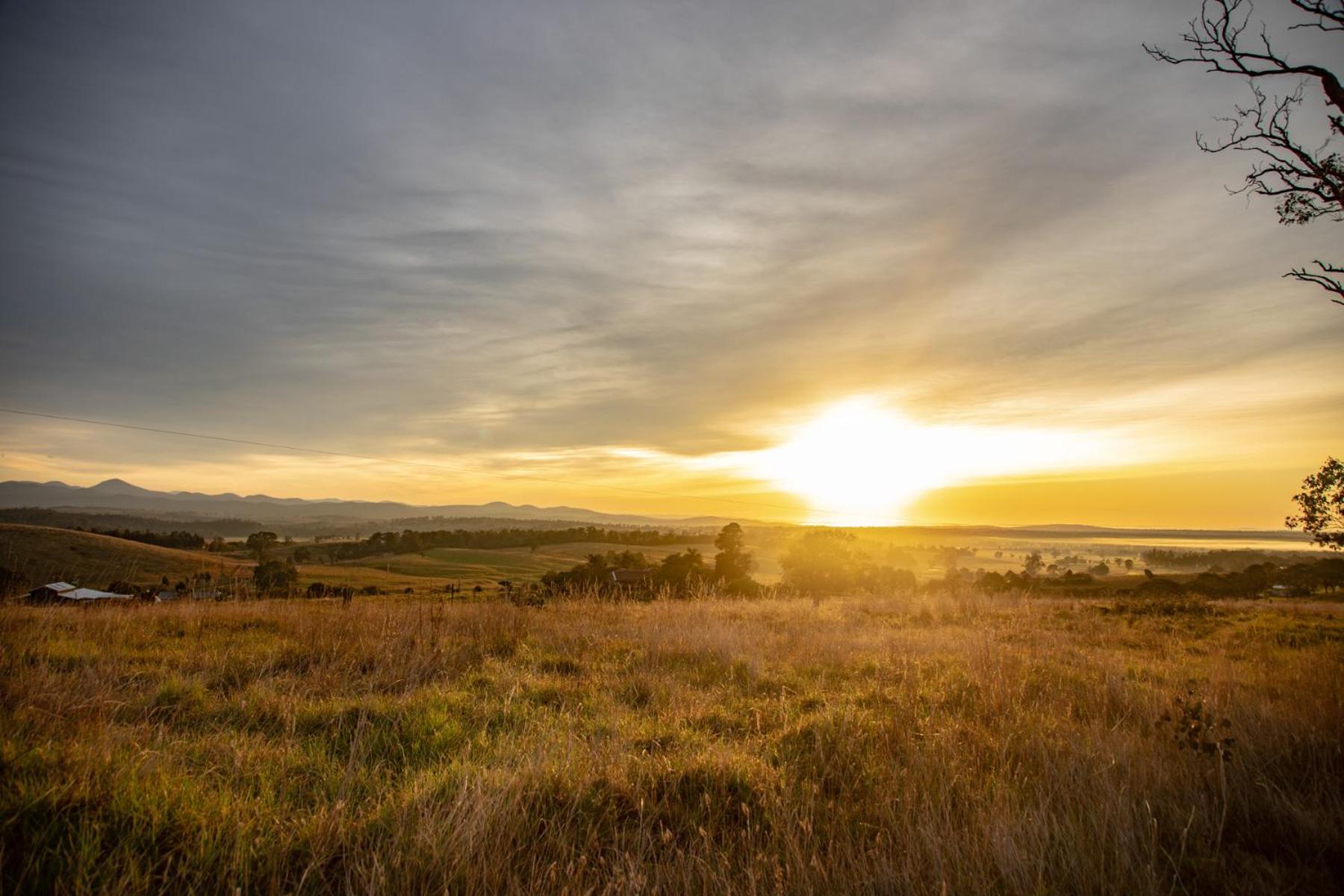 Gumnut Cottage Gippsland - Tiny Eco Stay w King Bed & Mountain Views