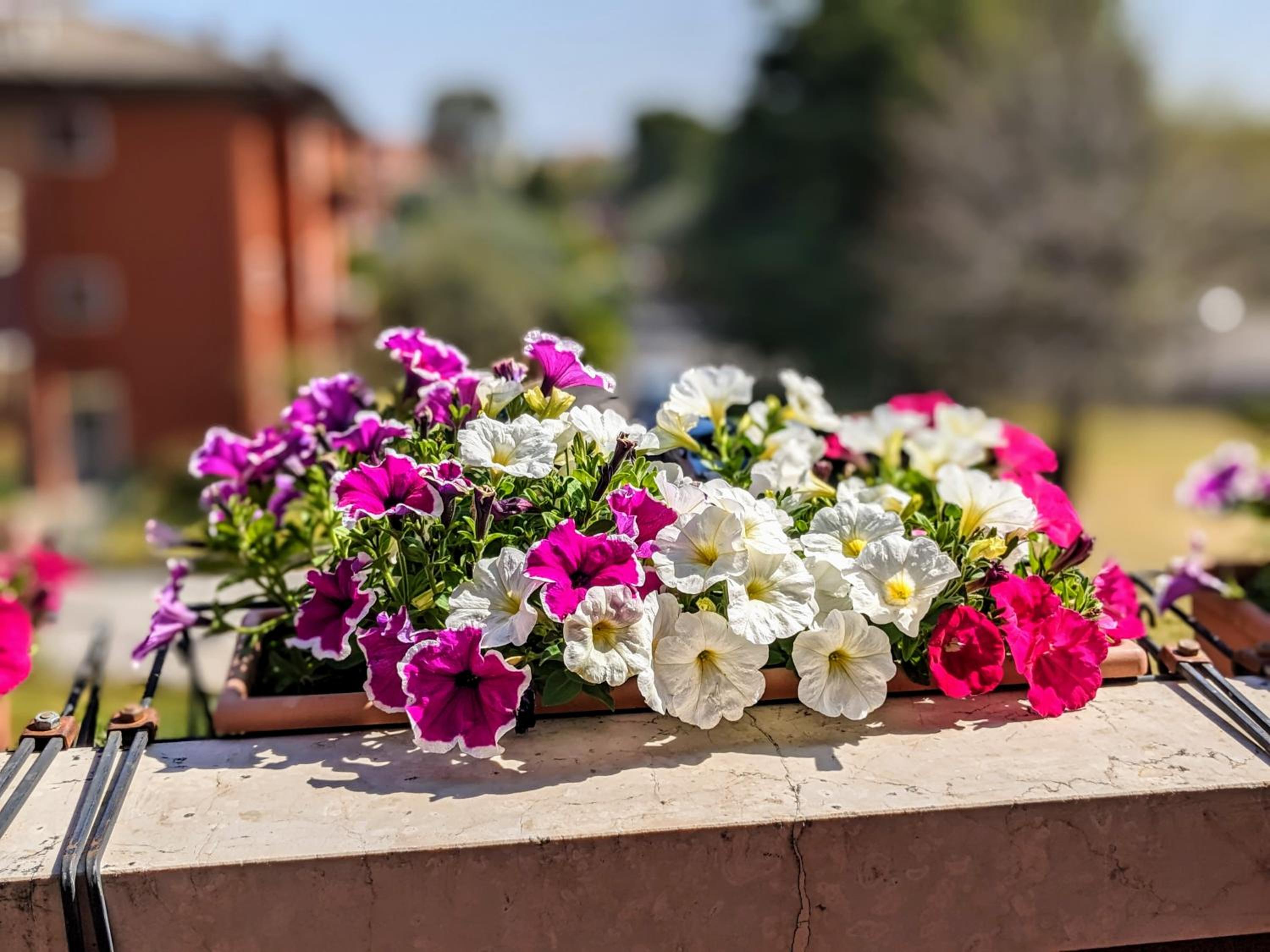 Hotel B&B The Way Home