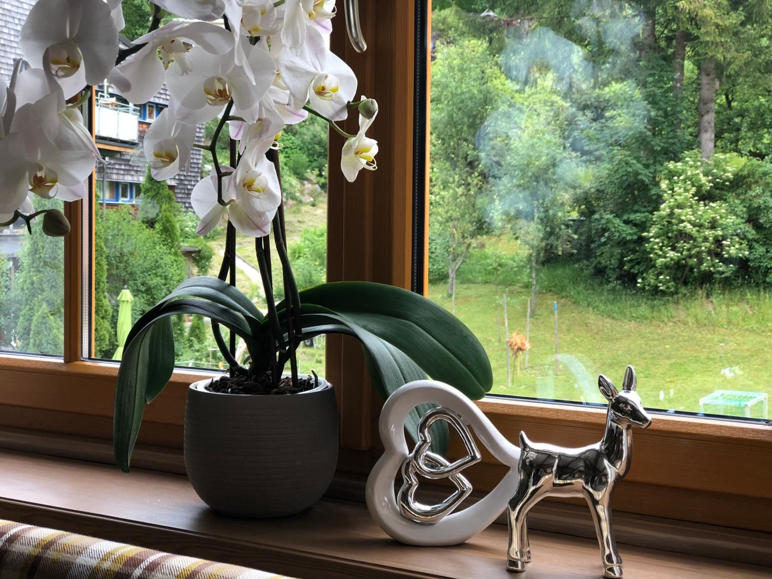 Gasthof Botenwirt