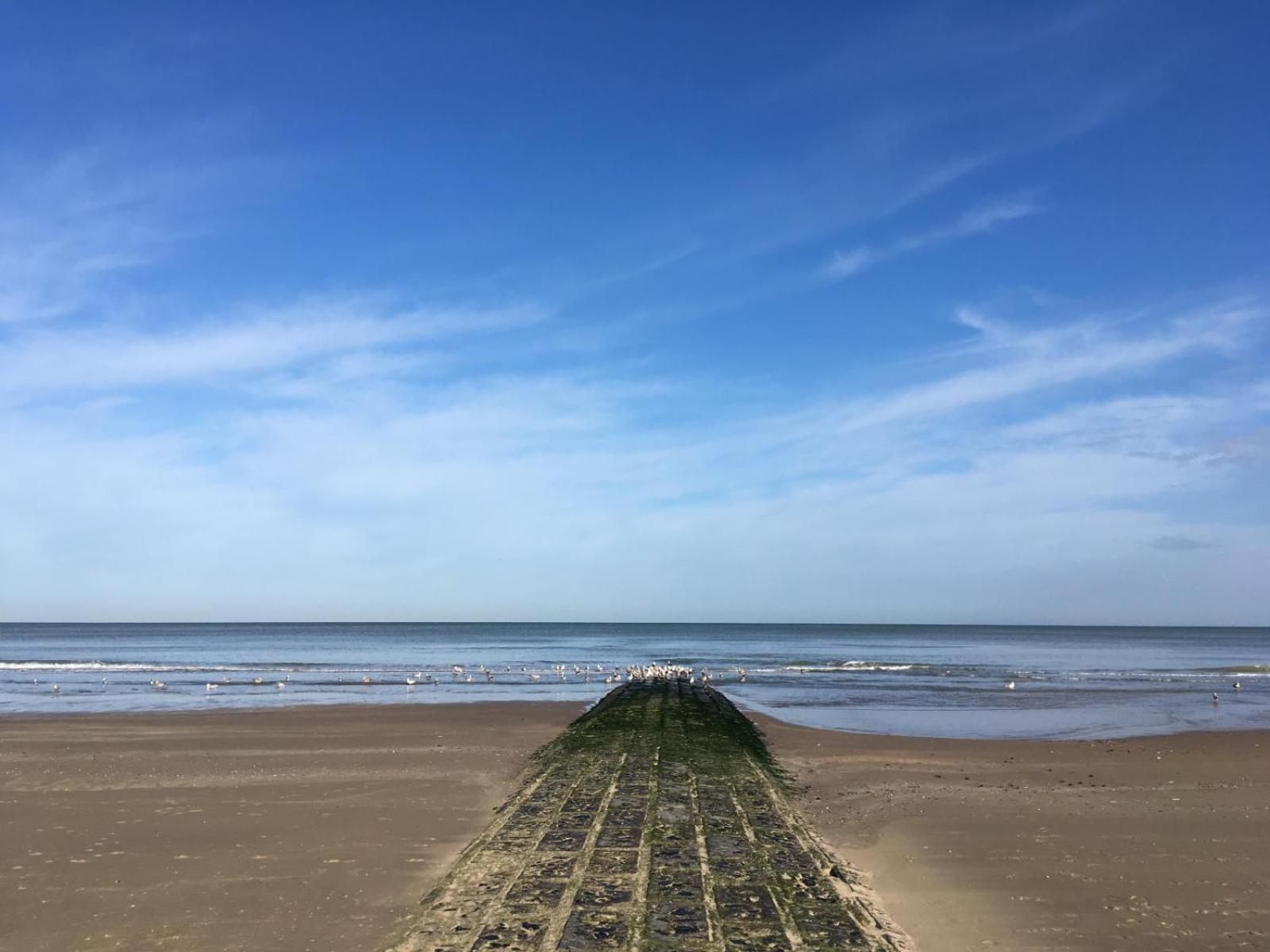 Caravan Aan Zee Arnani