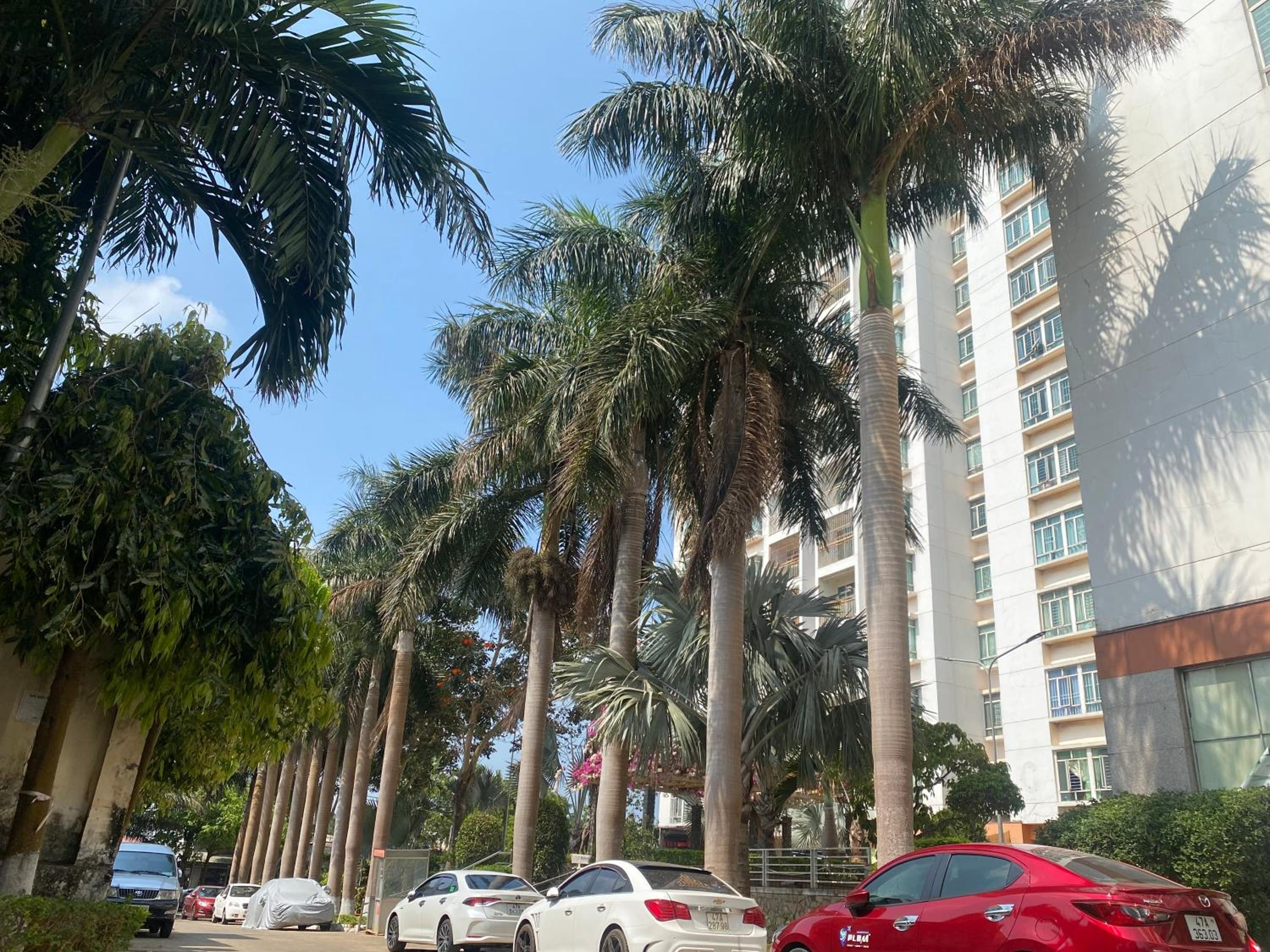 Căn hộ Hoàng Anh DakLak Ngay trung tâm Full nội thất 3PN thoải mái cho 8-12 người view 3