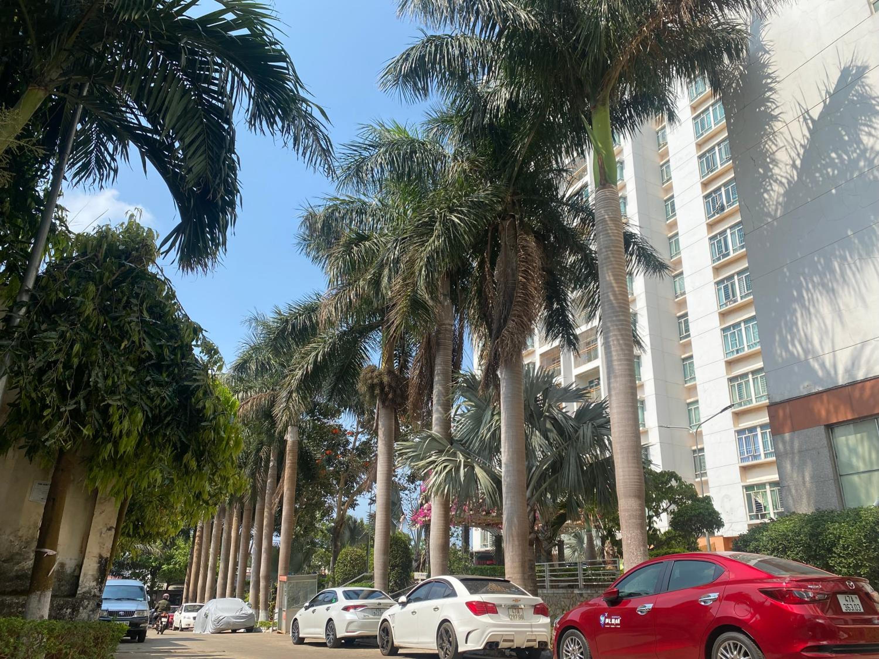 Căn hộ Hoàng Anh DakLak Ngay trung tâm Full nội thất 3PN thoải mái cho 8-12 người view 5