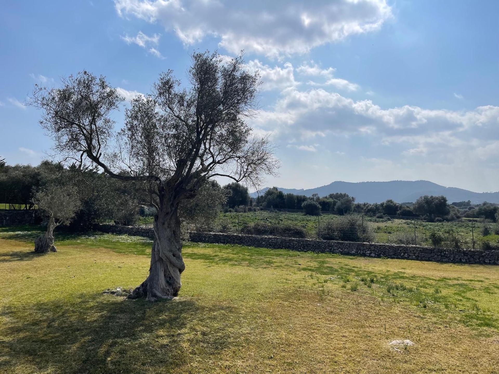 Finca Son Amoyana Capdepera
