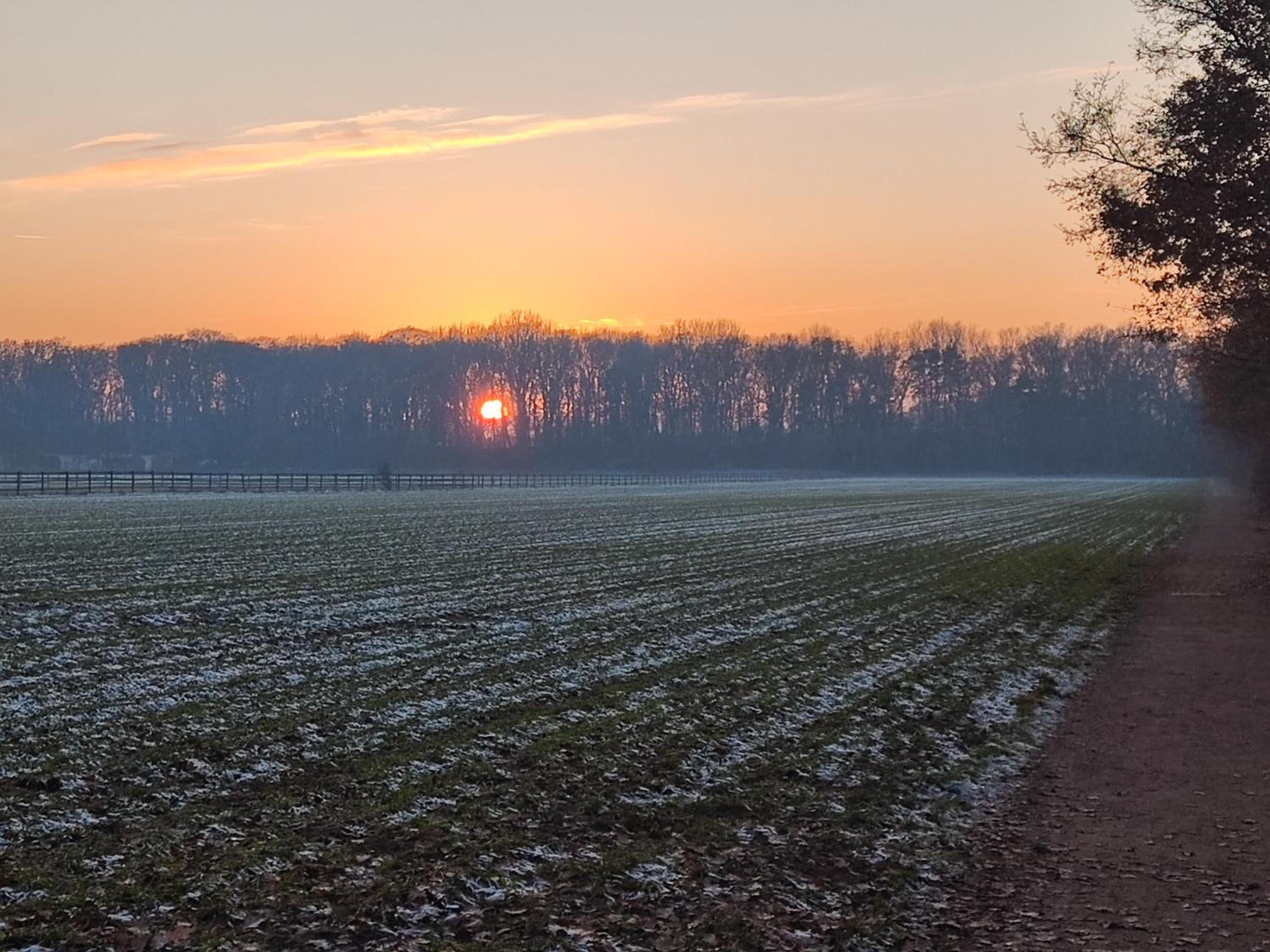 Nikis FeWo an den Dörenther Klippen