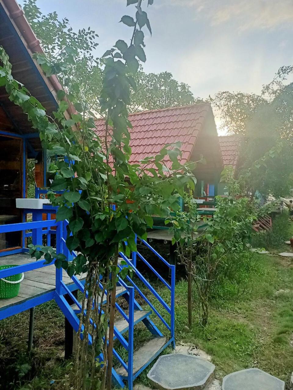 Ngọc Tiên Farmer Eco Lodge view 3