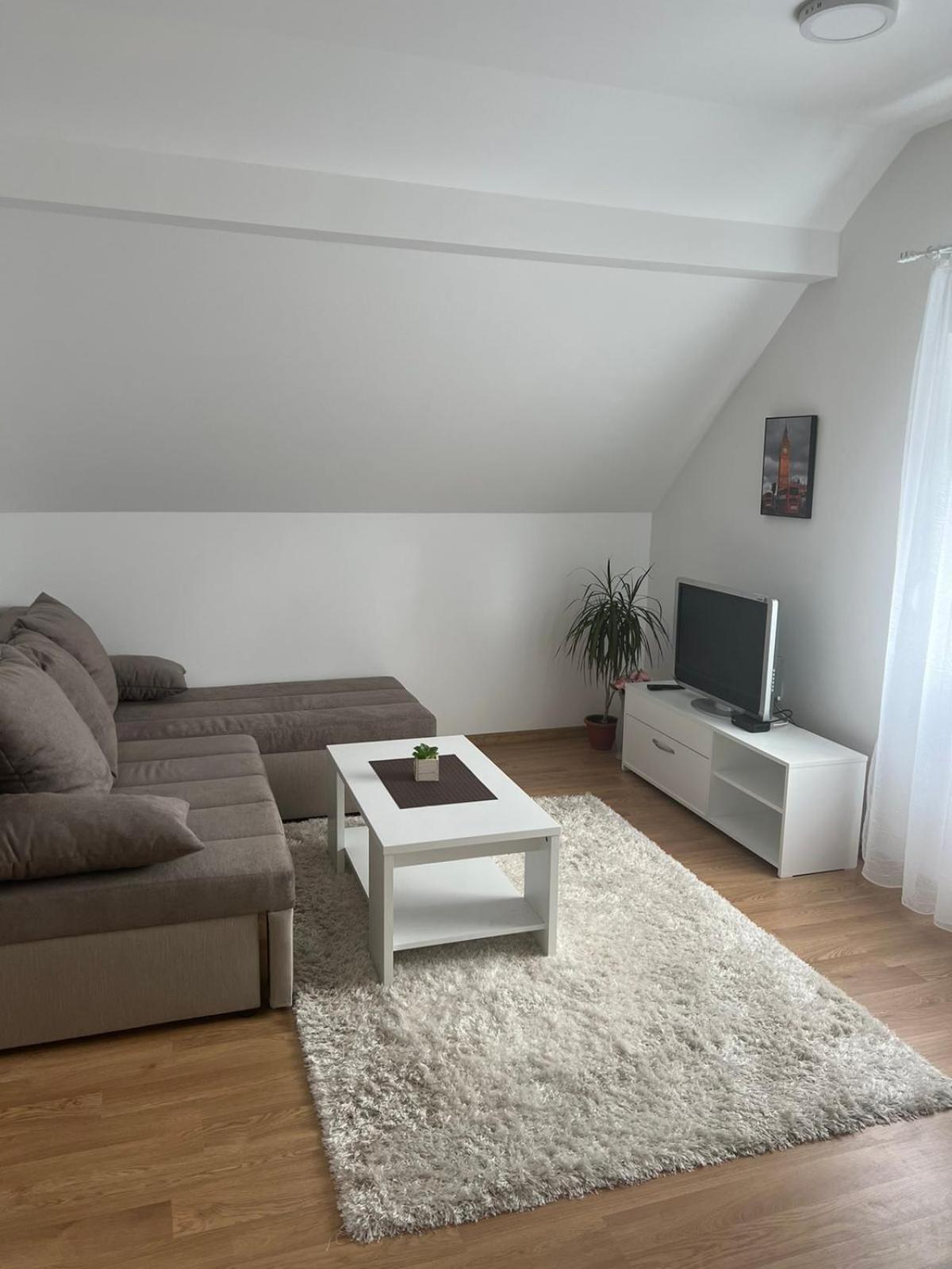 Apartman Biki view 3