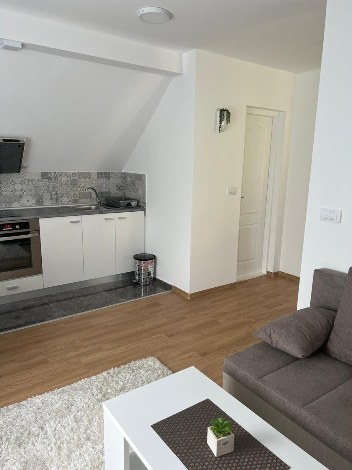 Apartman Biki view 5