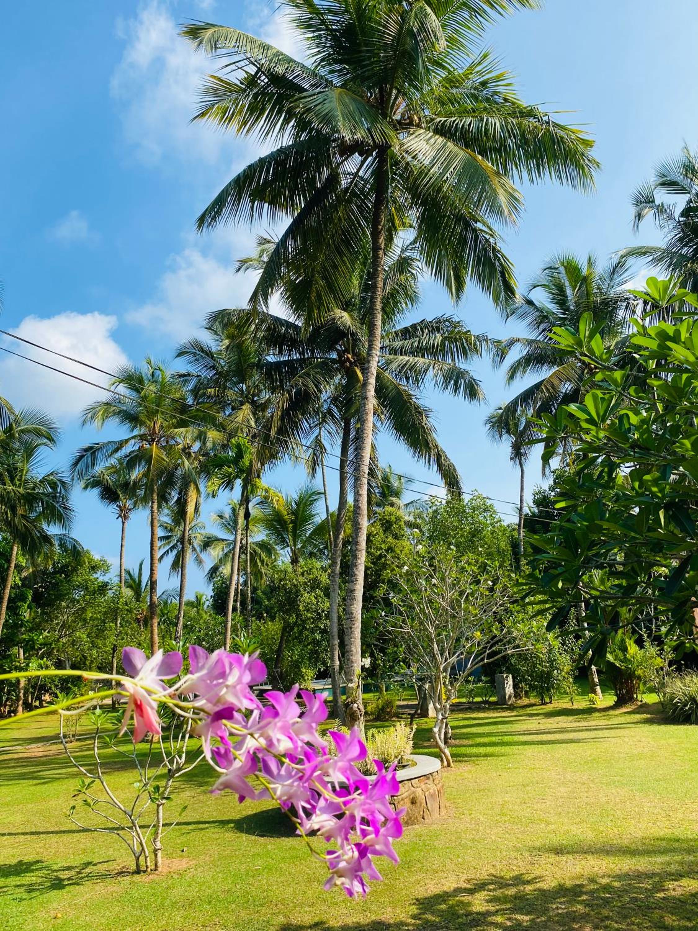 Villa Gaetano Unawatuna view 5