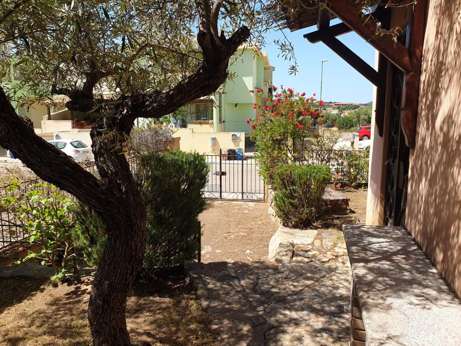 Photo 20