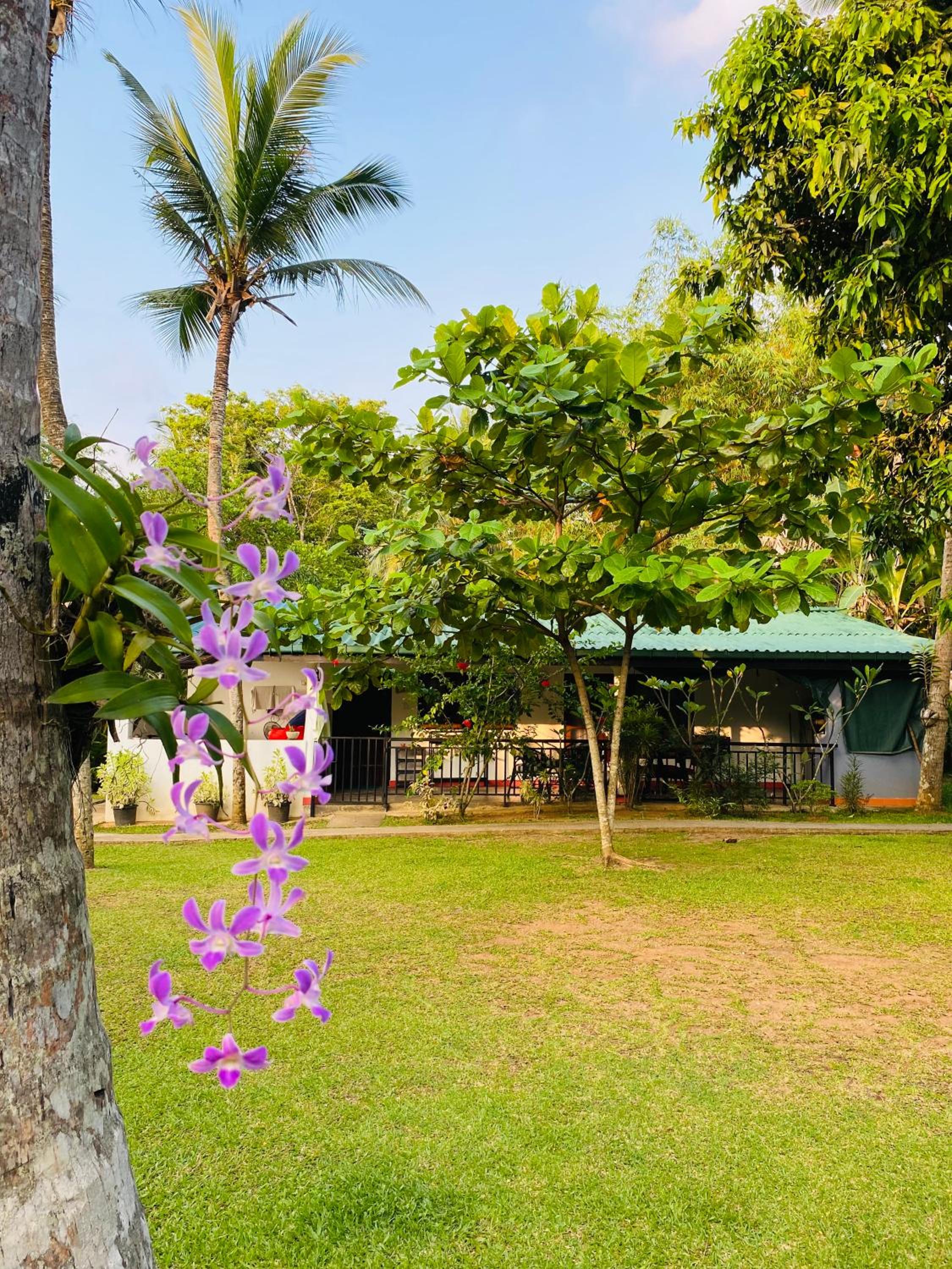 Villa Gaetano Unawatuna view 3