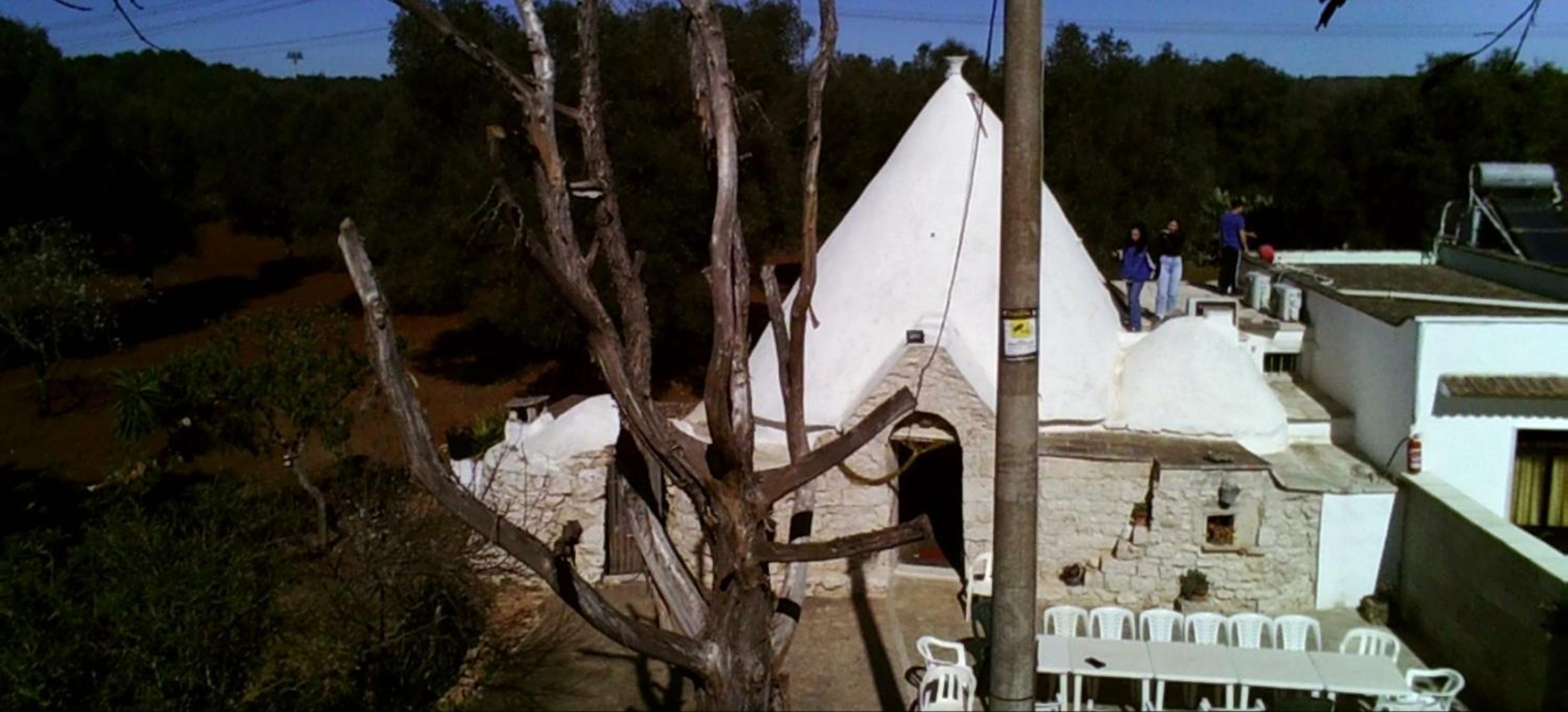 Photo 30
