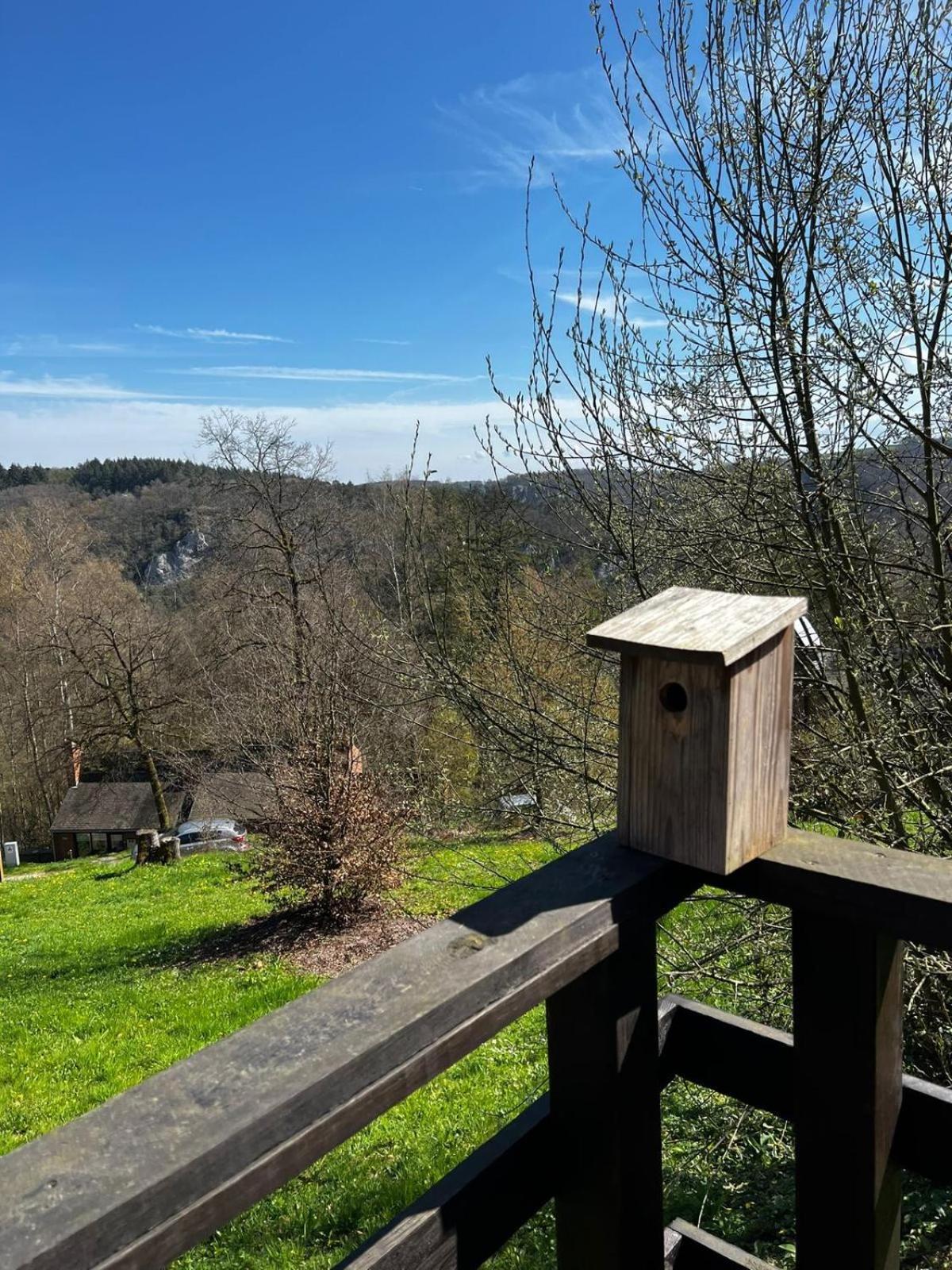 La cabane d'Hélie - Cottage en pleine forêt - Domaine du Bonsoy
