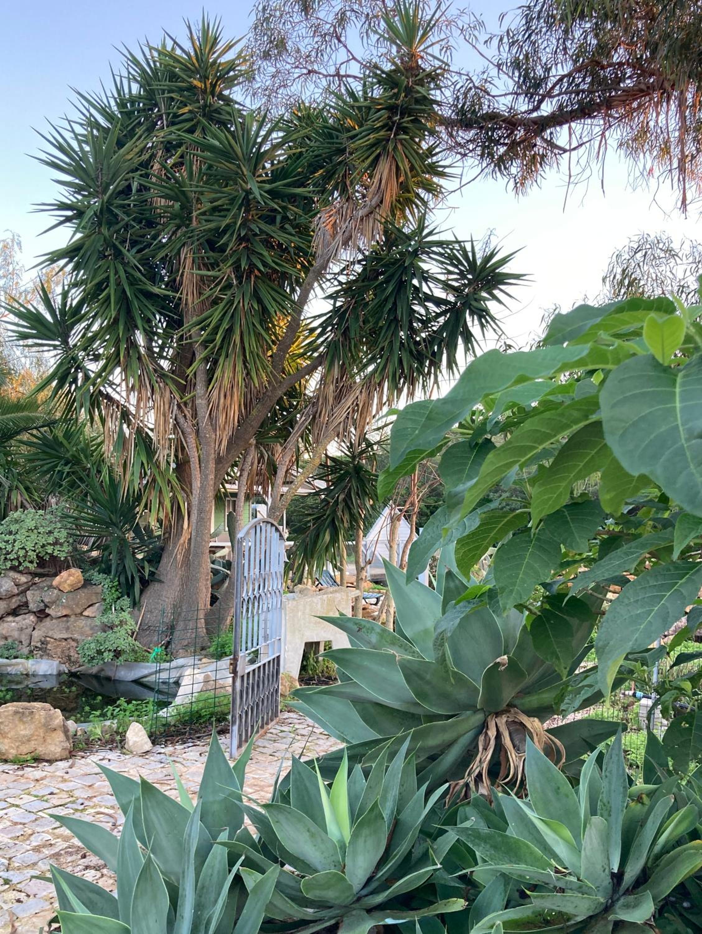 Quinta Bohemia view 5