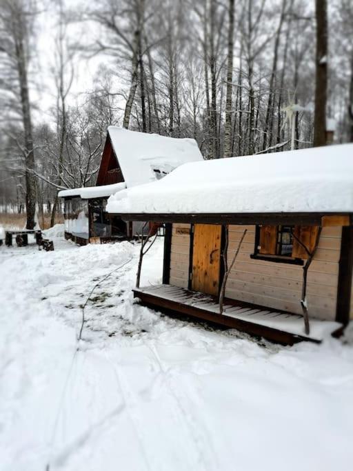 Mini saunahouse